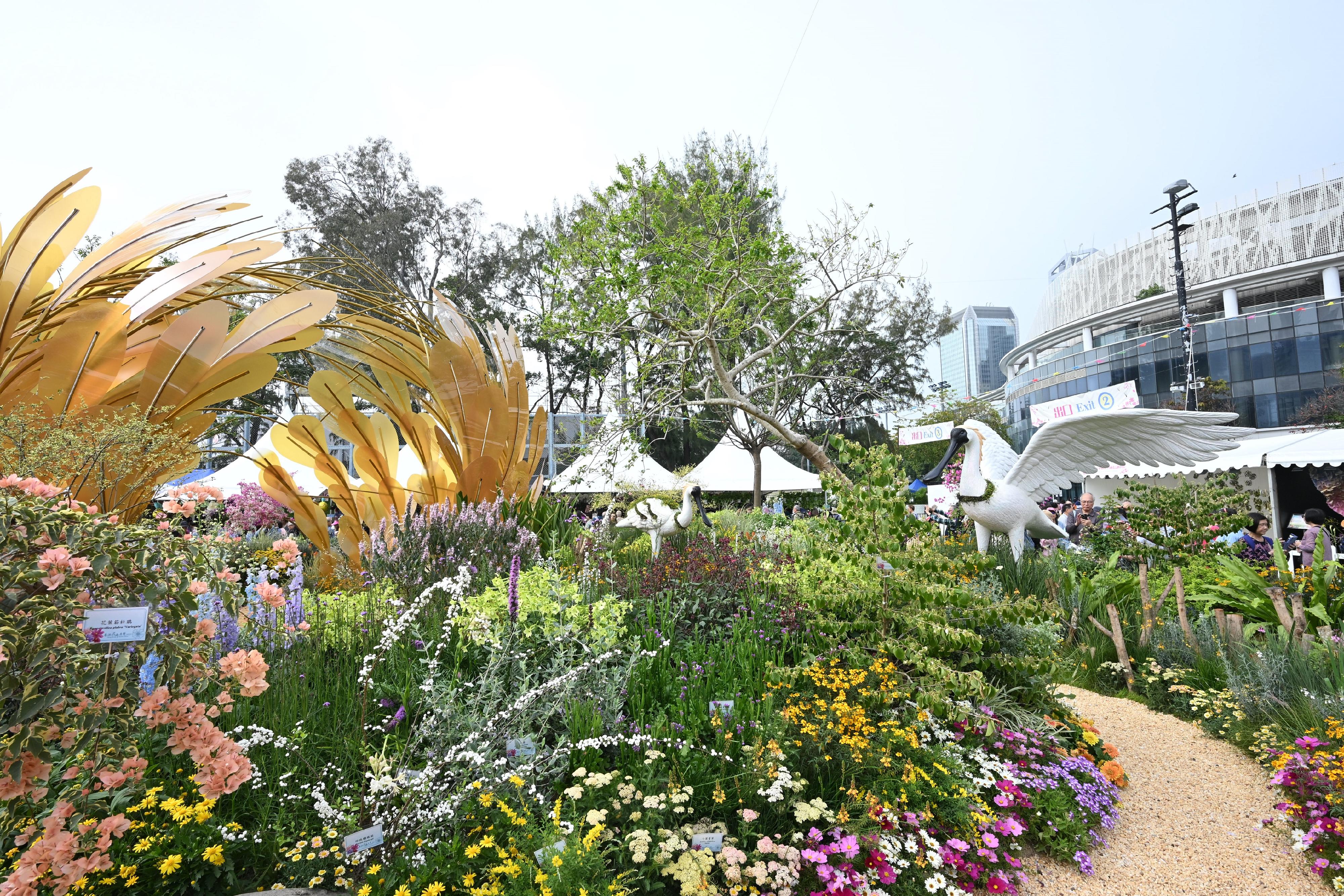 The annual Hong Kong Flower Show extravaganza opened at Victoria Park today (March 14) with some 400 000 flowers on display, including about 40 000 cosmos, this year's theme flower, and "Ablaze with Glory" as the main theme. Photo shows the display "A Paradise for Spoonbills" by the Urban Administration and Law Enforcement Bureau of Shenzhen Municipality.