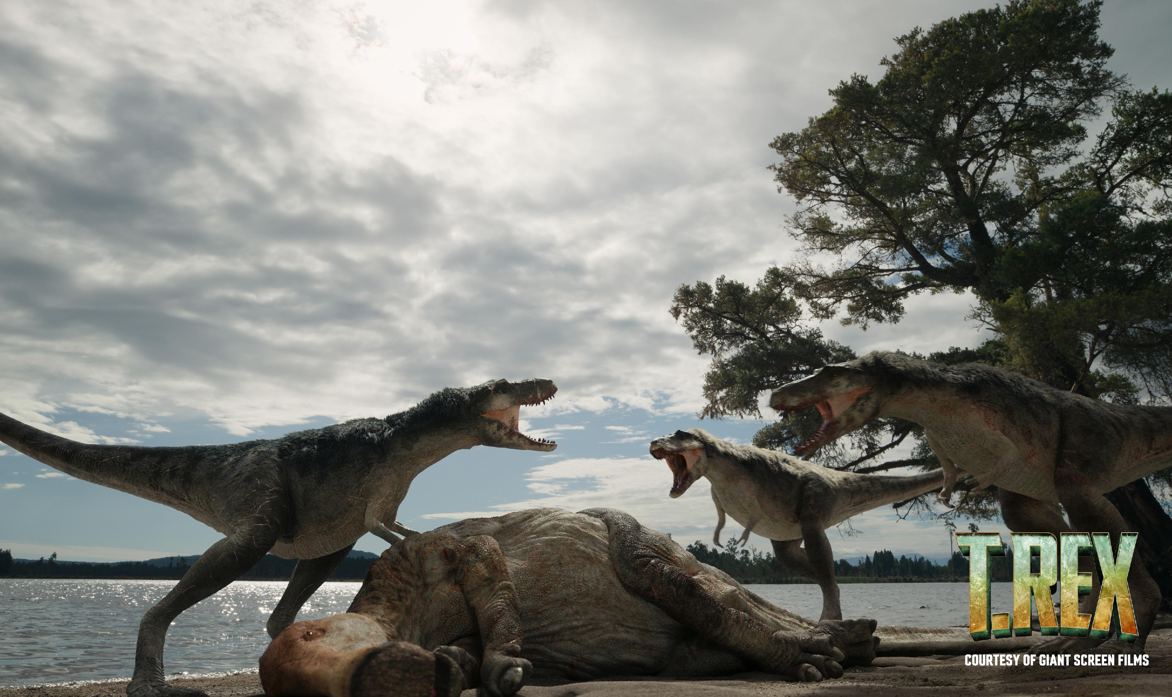 The Hong Kong Space Museum will launch a new dome show, "T. REX", at its Space Theatre from tomorrow (March 15). Photo shows the fierce conflicts among three T. rexes while pack hunting an Edmontosaurus. (Source of photo: Giant Screen Films)