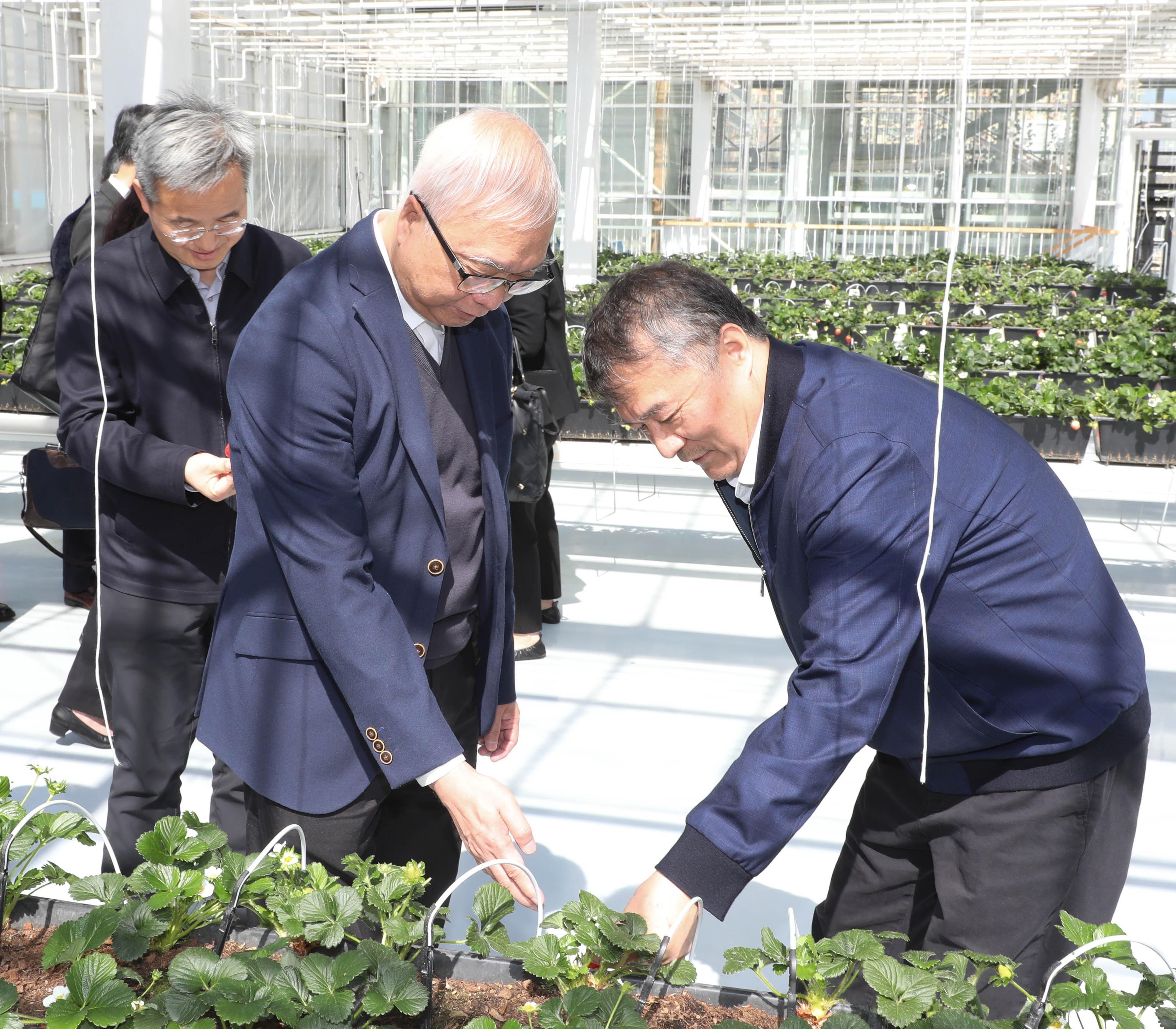 環境及生態局局長謝展寰今日（三月二十日）展開北京訪問行程。圖示謝展寰（右二）聽取中國農業科學院院長吳孔明（右一）介紹中國農業科學院的院部科研溫室。