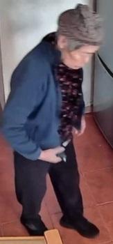 八十六歲女子梁玉蘭身高約一點五米，體重約四十五公斤，瘦身材，長面型，黃皮膚，蓄短白髮。她最後露面時戴啡色帽，身穿藍色外套、深色上衣、黑色長褲及黑色鞋。
