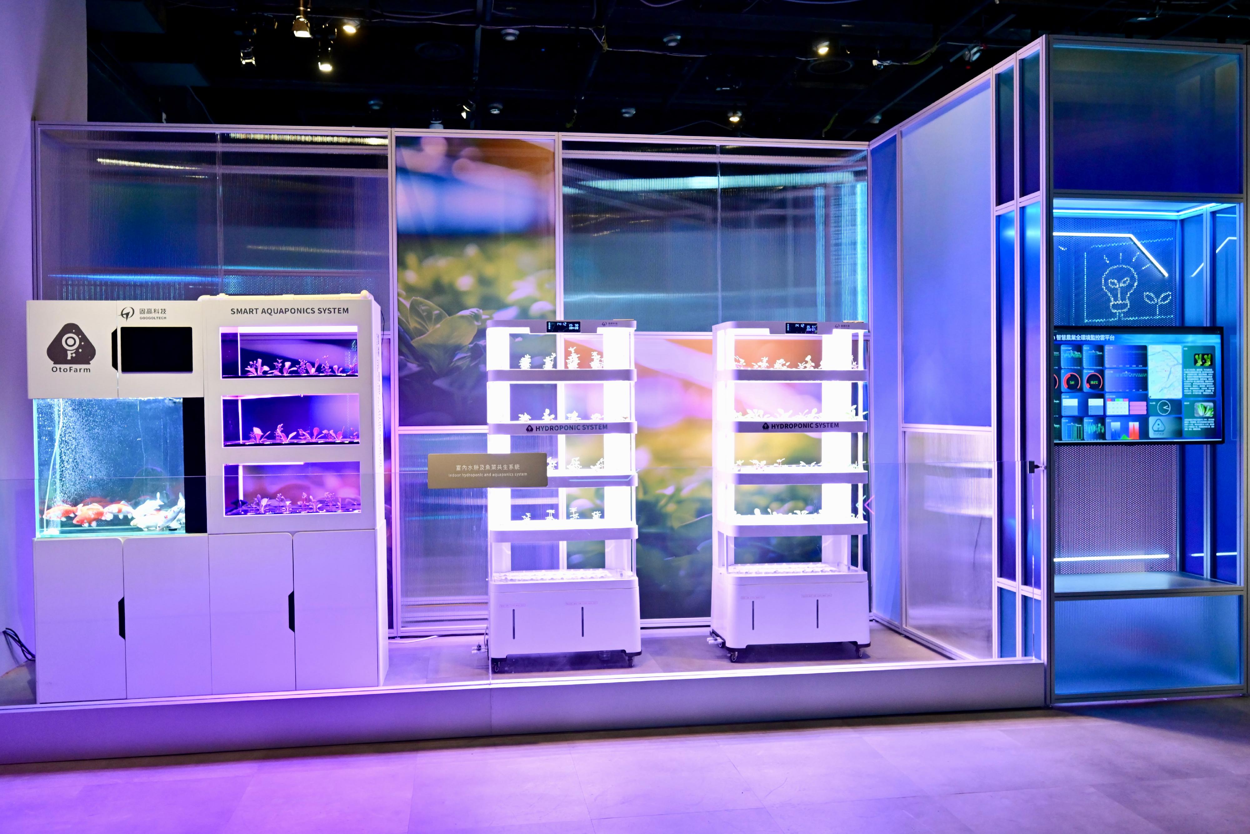 The Hong Kong Science Museum is staging a new exhibition, "Innovative Pathway: Hong Kong's New Era of Industry", from today (April 11). Photo shows a system of indoor hydroponic farming that maximises cultivation within limited land resources. 