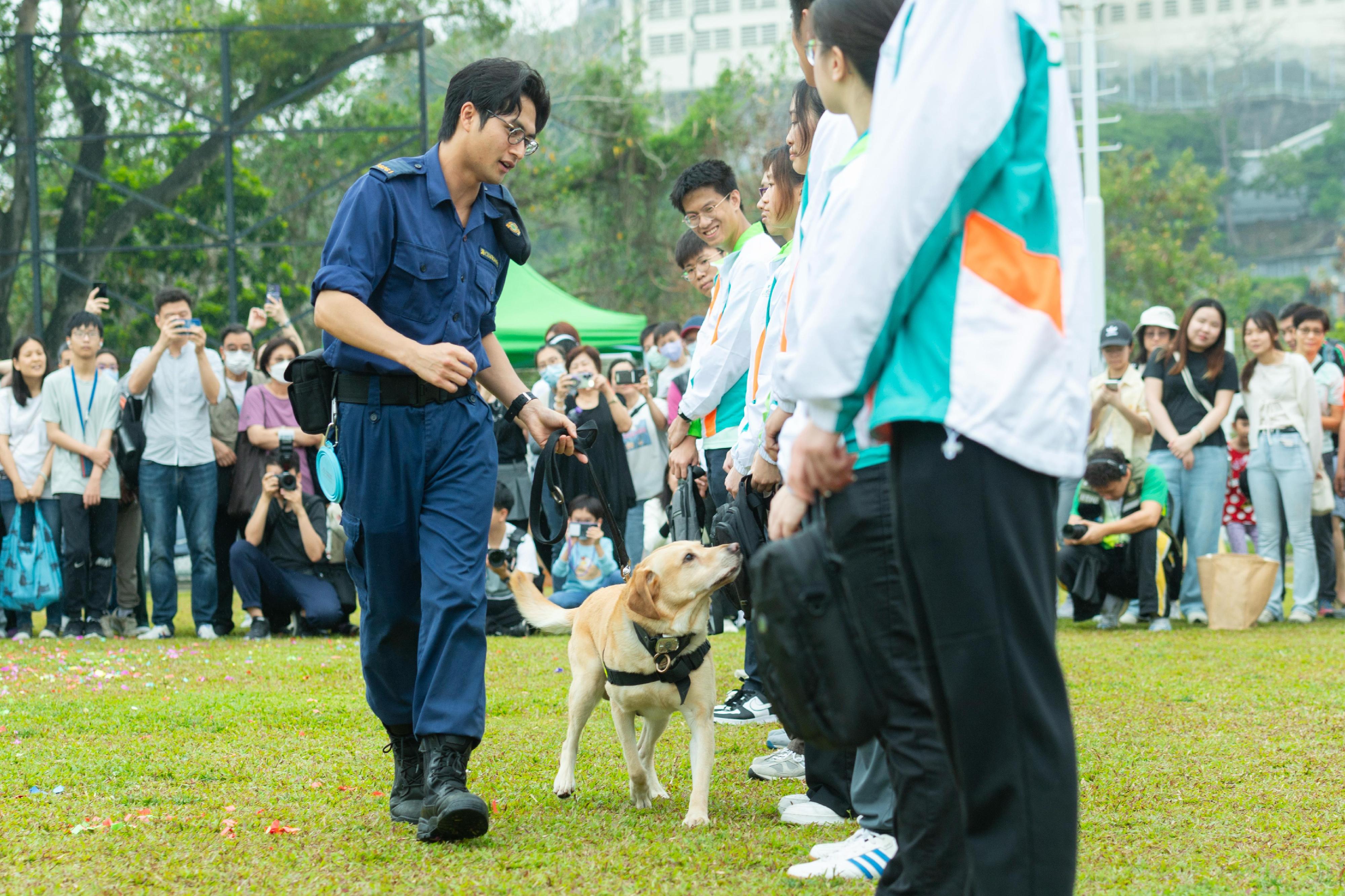 Hong Kong Customs today (April 18) held the Hong Kong Customs College Open Day. Photo shows Hong Kong Customs Detector Dog Team performing at the Open Day.