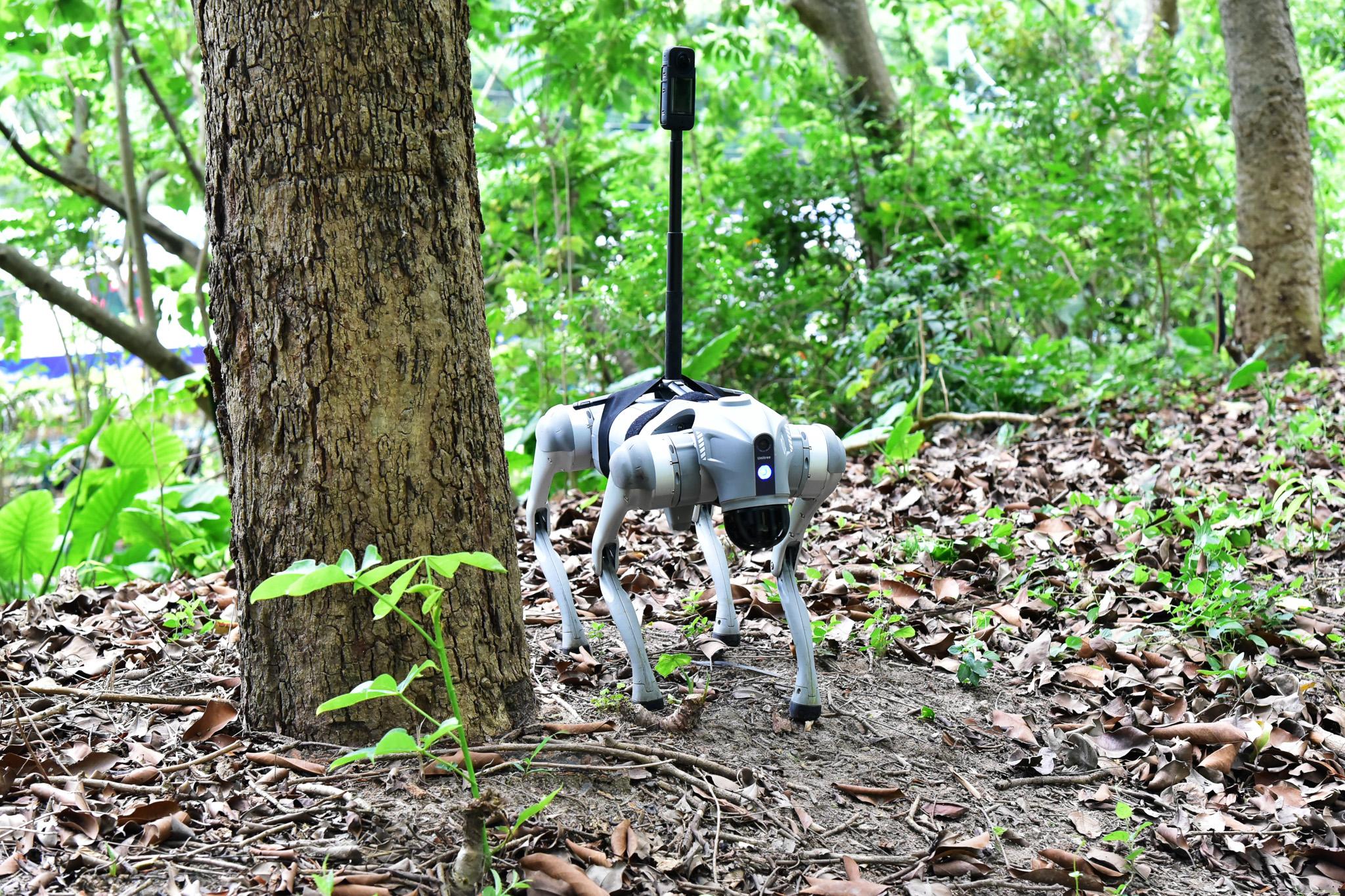The Civil Aid Service organised an exercise codenamed "WINDSTORM" at Wan Tuk Creek on Lantau Island today (May 13). Photo shows a robotic dog operating during a rescue operation.
