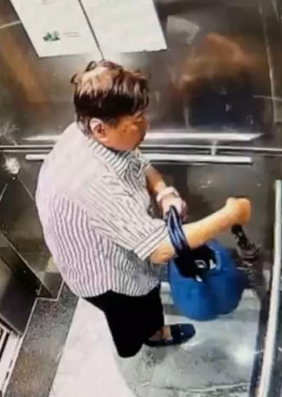 Yiu Wai-lam, aged 74, is about 1.5 metres tall, 70 kilograms in weight and of fat build. She has a round face with yellow complexion and short black hair. She was last seen wearing a white shirt with black stripe pattern, dark-coloured trousers, dark blue shoes and carrying a blue shopping bag and a long umbrella. Her right ear is fitted with a hearing aid.