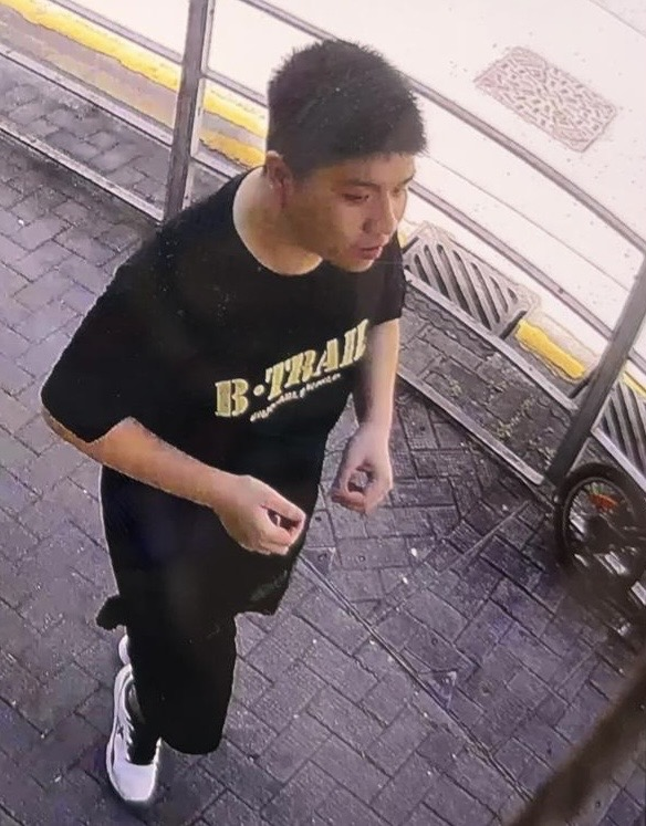 二十三歲男子林浩文身高約一點八米，體重約九十五公斤，中等身材，圓面型，黃皮膚及蓄短直黑髮。他最後露面時身穿黑色上衣、黑色短褲及白色鞋。