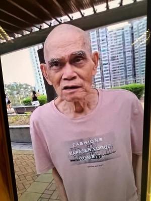 八十歲男子刁岸仁身高約一點六七米，瘦身材，方面型，黃皮膚，長短腳及蓄短白髮。他最後露面時身穿紅色上衣、黑色短褲、黑色鞋及攜有橙色手袋及黑色斜孭袋。

