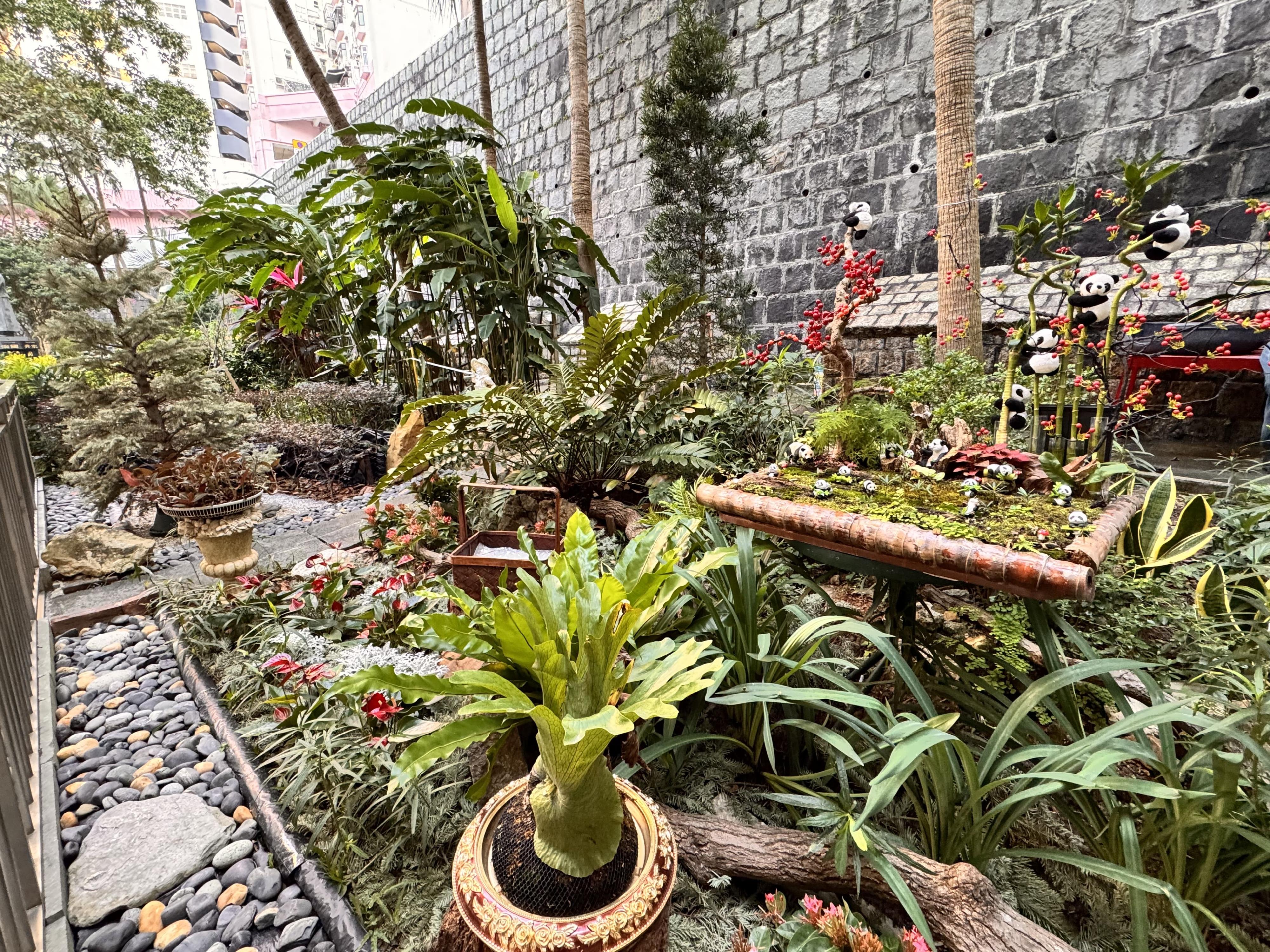 康樂及文化事務署今日（六月二十八日）於九龍公園體育館舉行綠化校園工程獎頒獎典禮，三十七間學校憑優秀的綠化校園工程，以及對綠化環境的貢獻，獲得表揚。獎項分八組，圖示小園圃種植（小學組）冠軍般咸道官立小學。