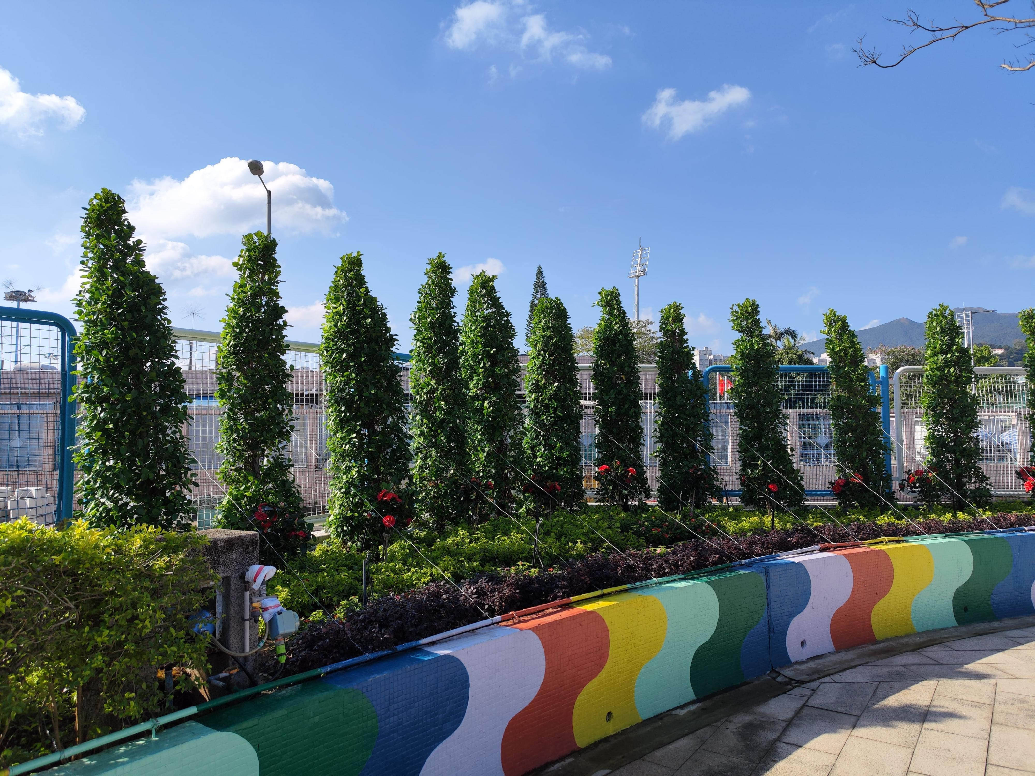 康樂及文化事務署今日（六月二十八日）於九龍公園體育館舉行綠化校園工程獎頒獎典禮，三十七間學校憑優秀的綠化校園工程，以及對綠化環境的貢獻，獲得表揚。獎項分八組，圖示植樹工程冠軍西貢中心李少欽紀念學校。