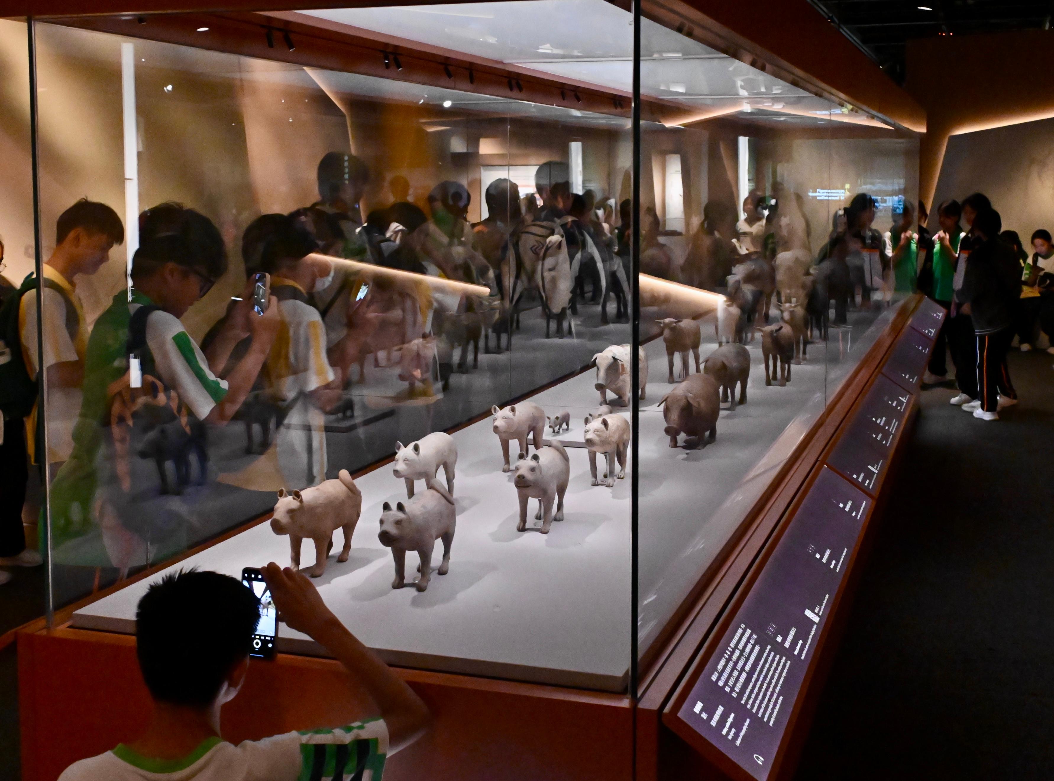 "The Hong Kong Jockey Club Series: The Great Unity - Civilisation of the Qin and Han Dynasties in Shaanxi Province" exhibition at the Hong Kong Museum of History has been widely welcomed by the local public and visitors since its opening on April 16. The exhibition received its 200 000th visitor today (June 30). Photo shows visitors touring the exhibition.