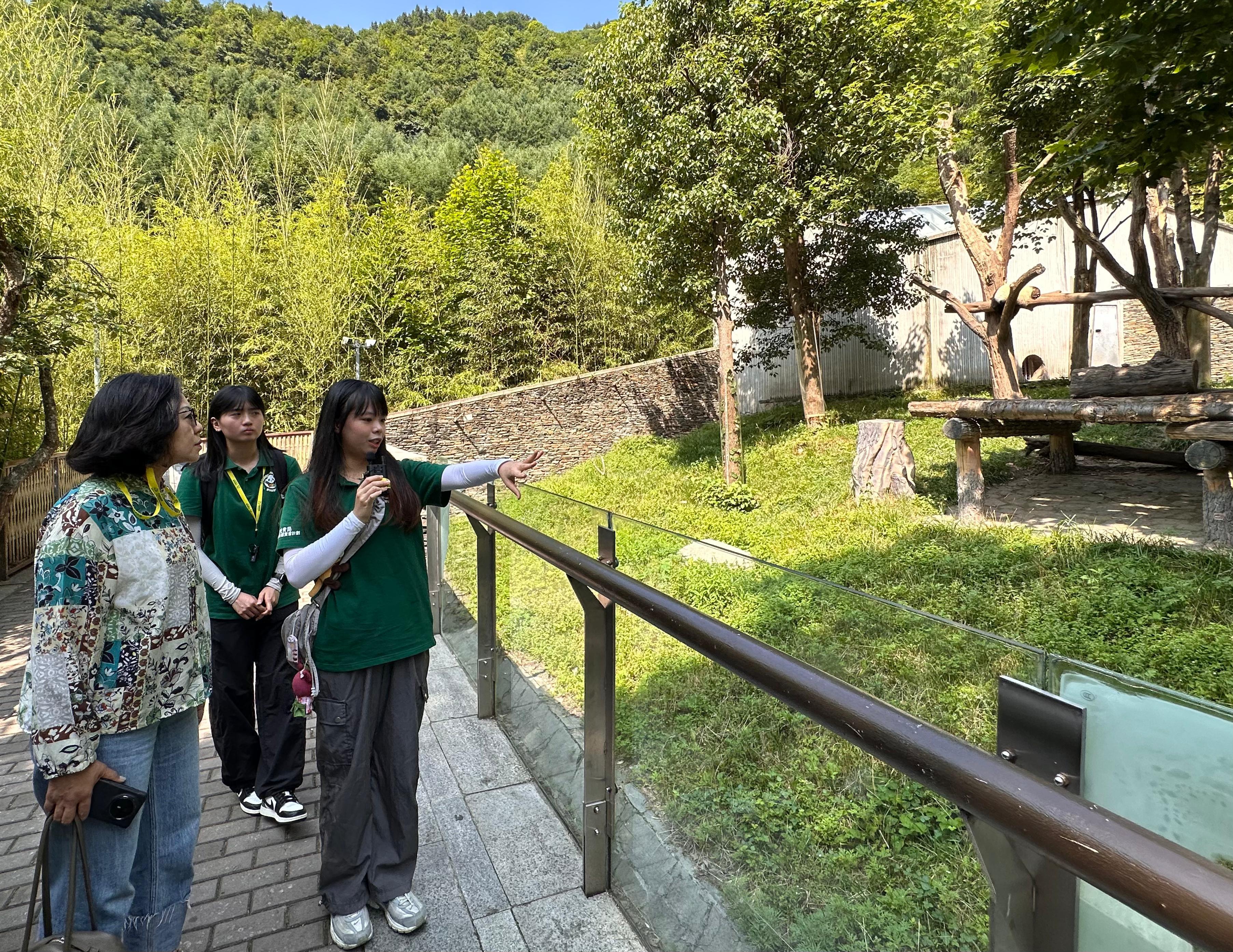民政及青年事務局局長麥美娟今日（七月十七日）在四川展開訪問行程。圖示麥美娟（左一）在中國大熊貓保護研究中心神樹坪基地，聽取擔任講解員的大熊貓國家公園臥龍片區青年實習計劃香港青年實習生的簡介。

