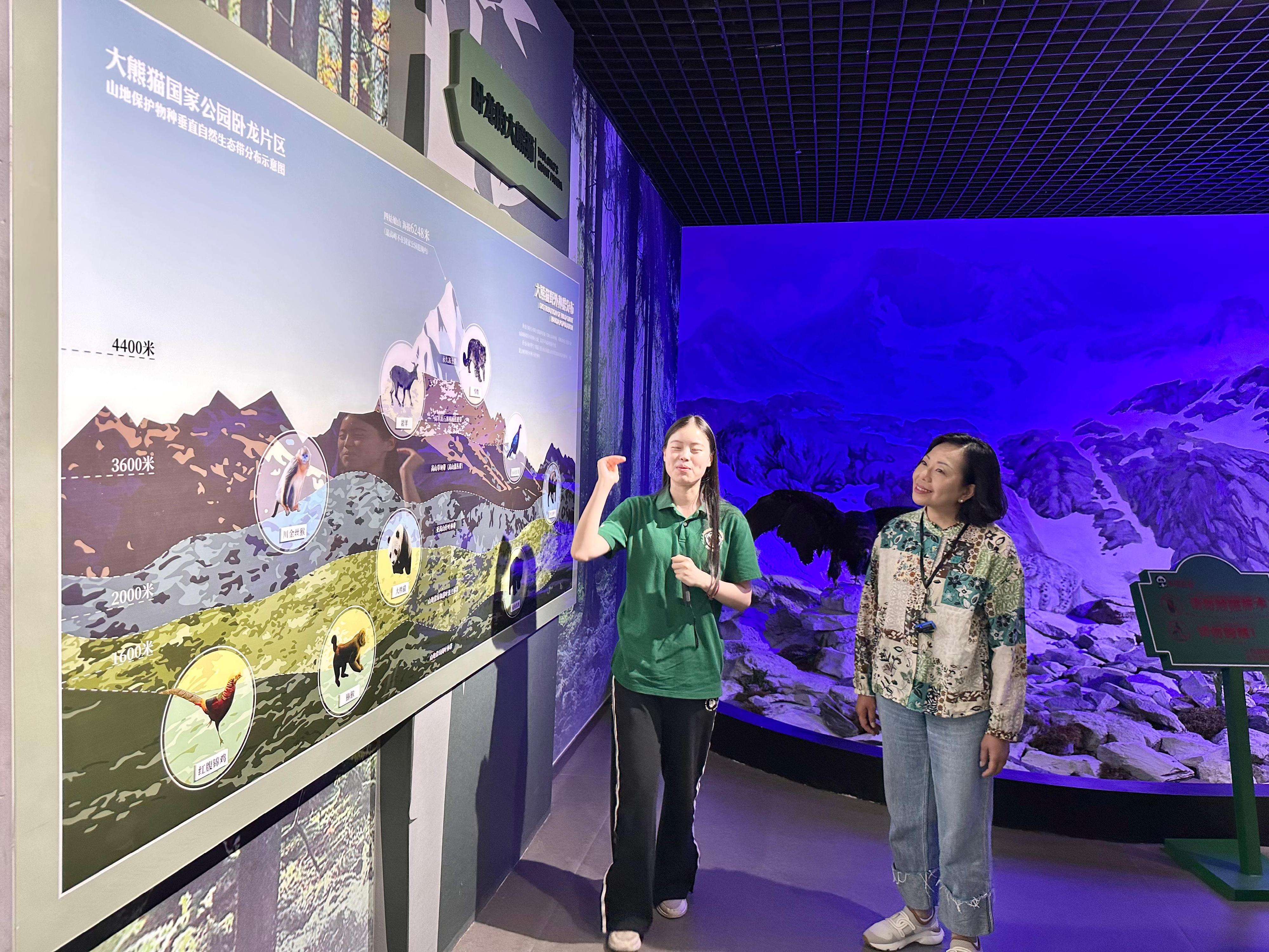 The Secretary for Home and Youth Affairs, Miss Alice Mak, began her visit to Sichuan today (July 17). Photo shows Miss Mak (right) being briefed by a Hong Kong youth participating in the Youth Internship Programme at Wolong Region of Giant Panda National Park on nature conservation and the caring and rearing of giant pandas in the Wolong Natural Museum of the Giant Panda National Park.
