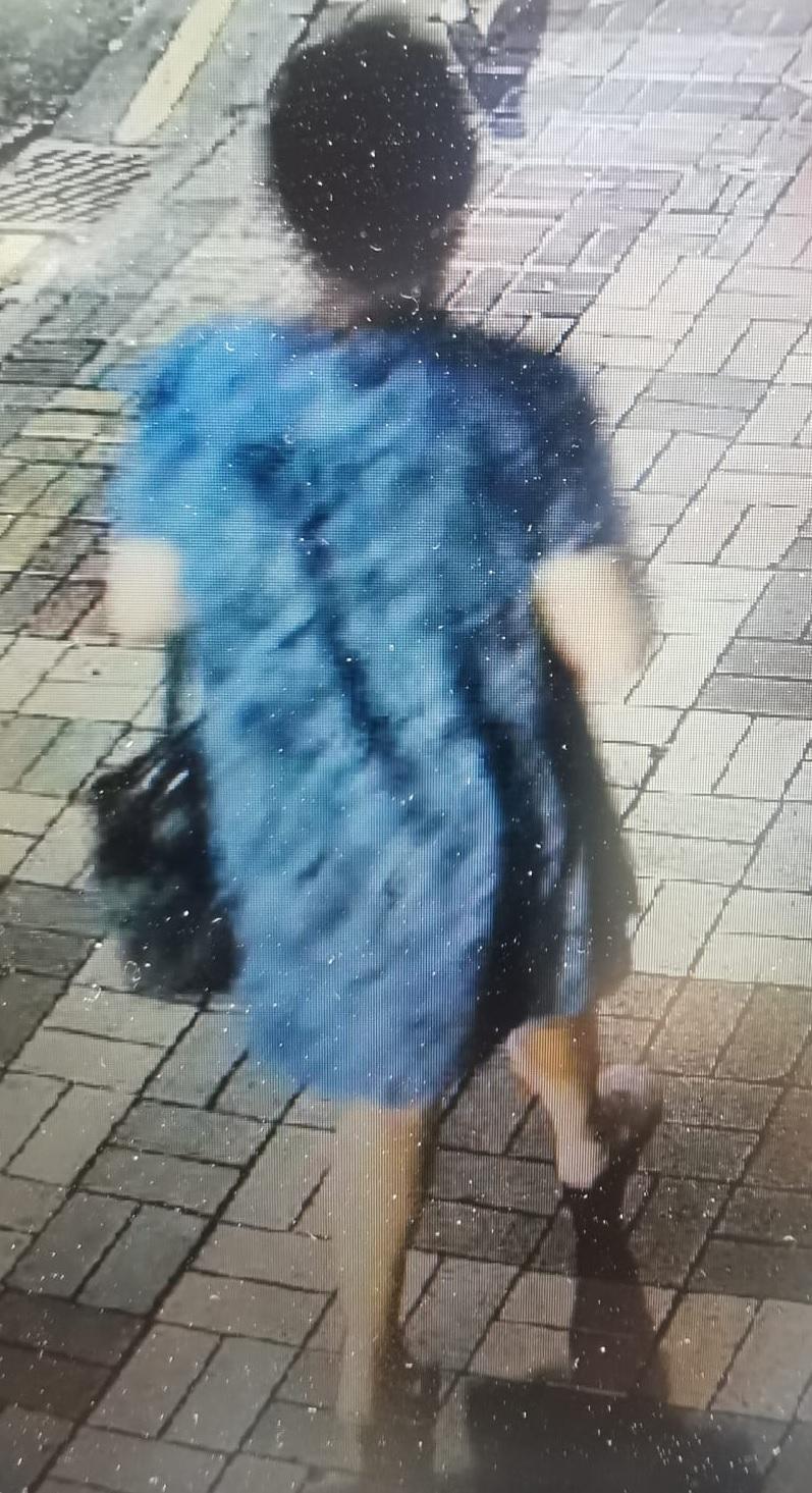 三十八歲女子林潔文身高約一點六米，體重約八十公斤，肥身材，圓面型，黃皮膚及蓄短黑髮。她最後露面時身穿藍色連身裙、淺色鞋、戴黑色眼鏡及攜有一個深色手袋。