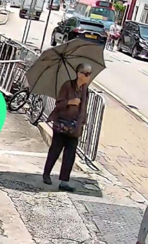 Lo Siu-ying, aged 86, is about 1.5 metres tall, 41 kilograms in weight and of thin build. She has a long face with yellow complexion and short white hair. She was last seen wearing a brown long-sleeved shirt, black trousers, black shoes, a pair of black sunglasses, carrying a black shoulder bag and a light-coloured long umbrella.