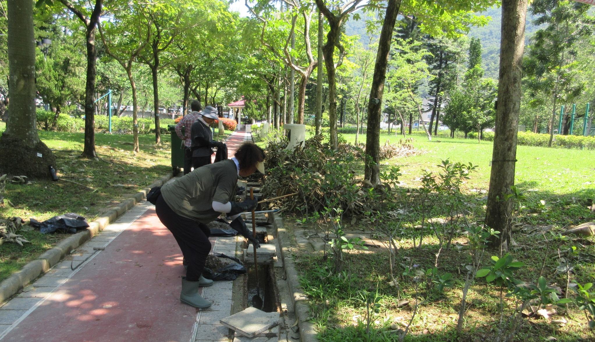 In response to the recent significant increase in the number of chikungunya cases reported in neighboring regions and some overseas countries, the Leisure and Cultural Services Department (LCSD) announced today (August 1) that the LCSD has implemented multiple mosquito prevention and control measures at its recreational venues, including major parks, sitting-out areas, sports grounds, beaches, playgrounds and cultural venues to protect public health. Photo shows staff members cleaning flower beds and sweeping fallen leaves on the ground and in drains at an LCSD park.
