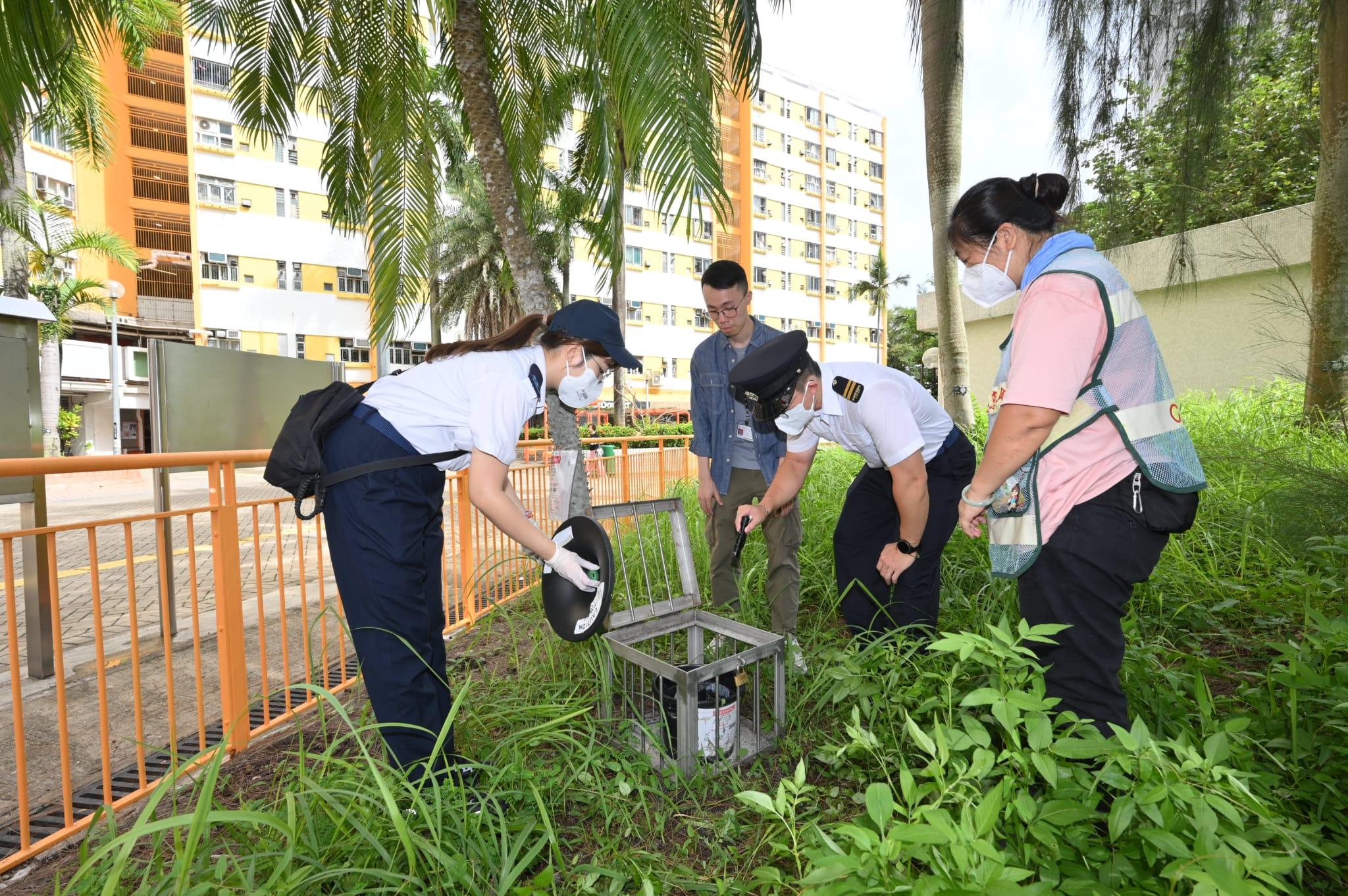 The Food and Environmental Hygiene Department (FEHD) conducted mosquito prevention and control work in Tuen Mun today (August 15). Photo shows FEHD staff inspecting the operation of a new kind of mosquito trapping device (also known as a "mosquito trap").