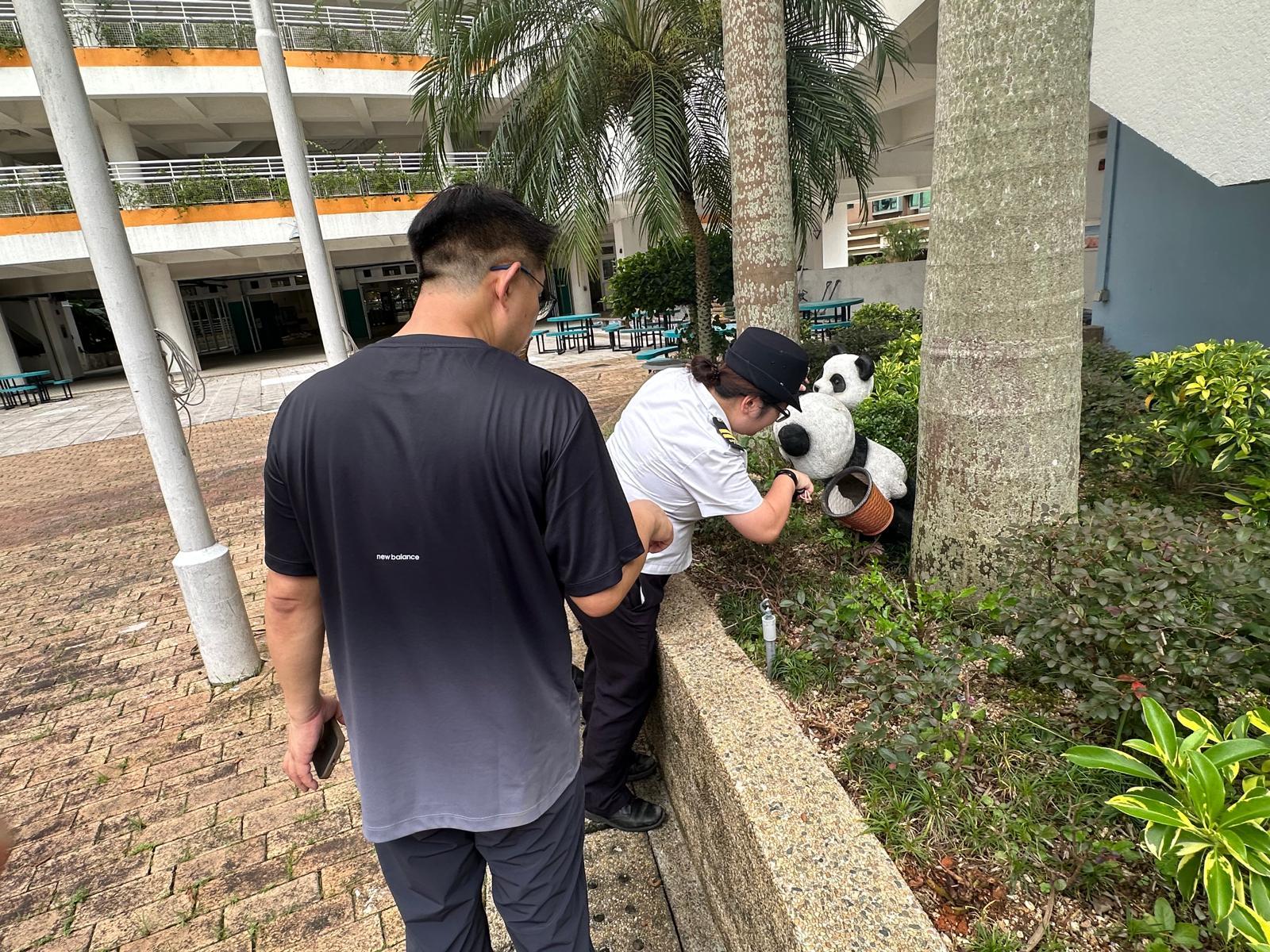 食物環境衞生署（食環署）今日（八月二十日）在九龍城啟德北和荃灣馬灣進行防蚊滅蚊工作。圖示食環署人員聯同馬灣一學校的代表巡視該學校的公共地方會否出現大範圍積水。