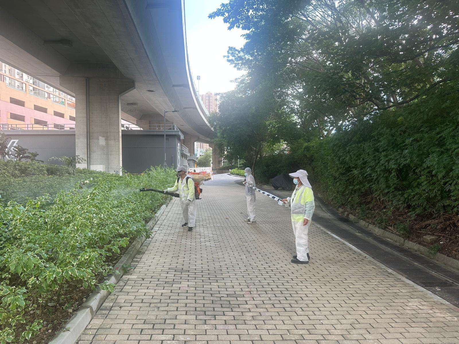 The Food and Environmental Hygiene Department (FEHD) conducted mosquito prevention and elimination work in Tsing Yi North, Kwai Tsing District, and Tuen Mun West, Tuen Mun District. Photo shows staff members of the FEHD's contractor conducting fogging operations to eradicate adult mosquitoes in Tuen Mun West.