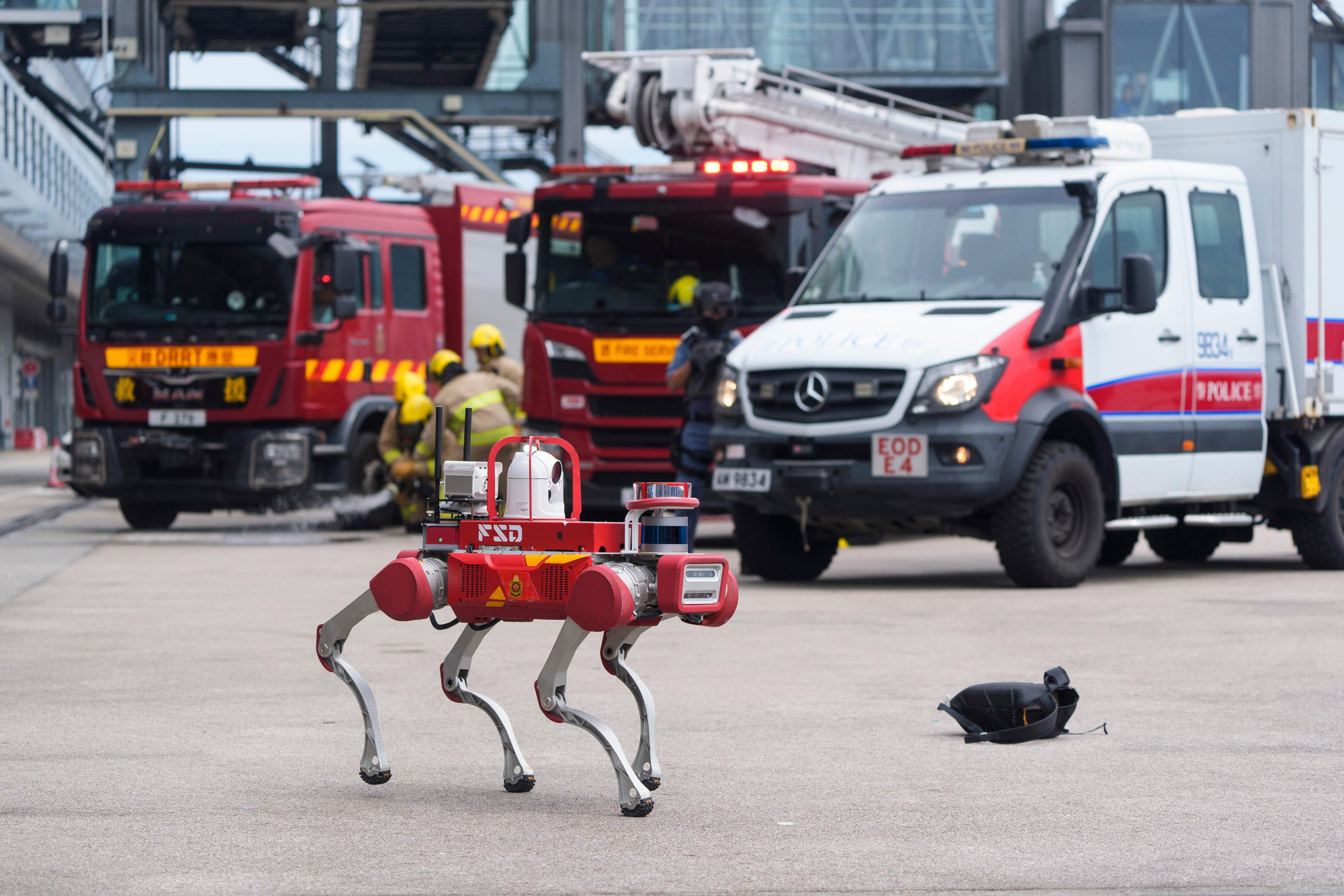 The Inter-departmental Counter Terrorism Unit conducted a large-scale interdepartmental counter-terrorism exercise codenamed BRAVELIGHT at the Kai Tak Cruise Terminal today (August 28). Photo shows Fire Services Department dispatching a robotic dog to assist in handling a suspected explosive device.