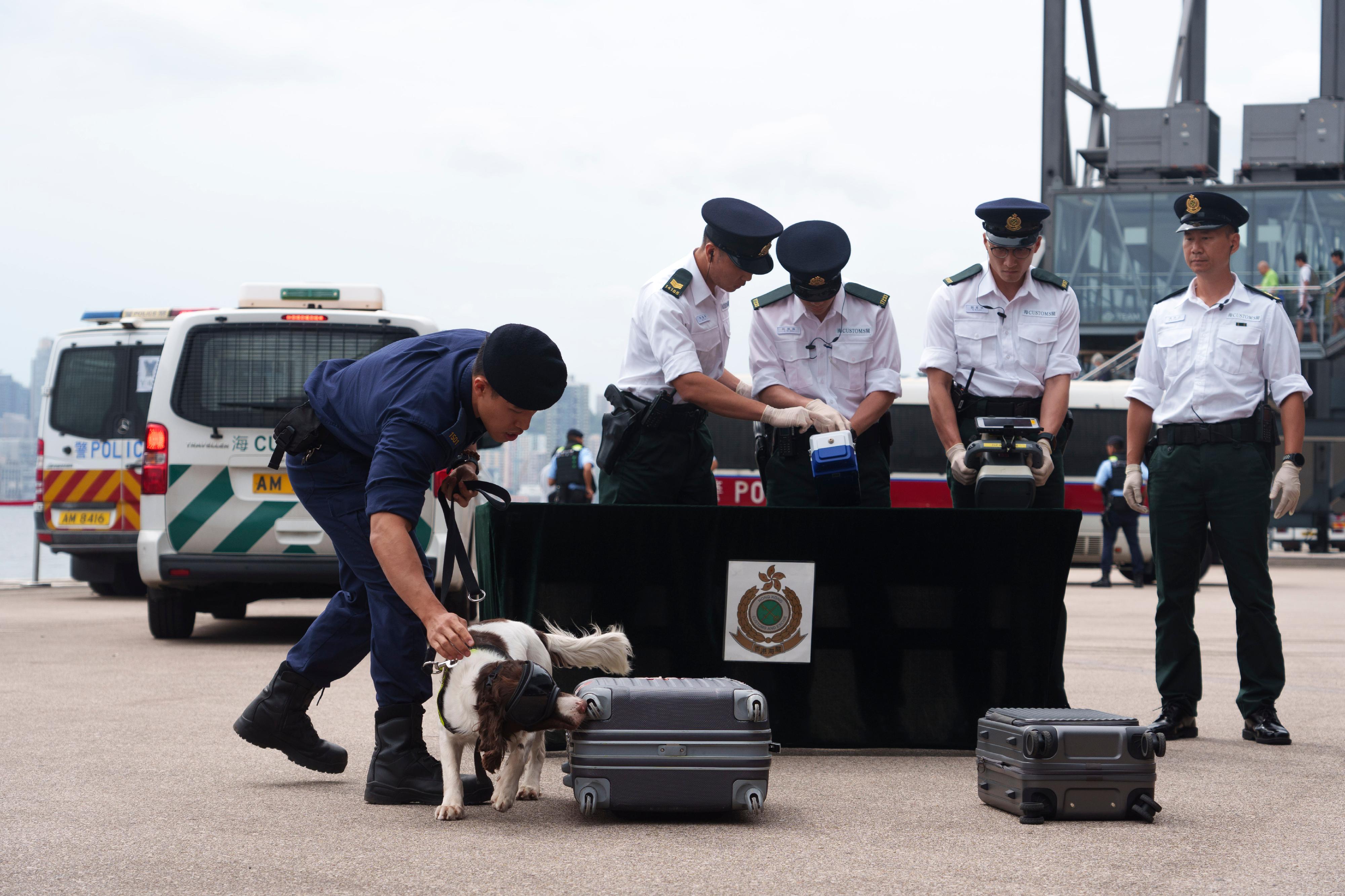 The Inter-departmental Counter Terrorism Unit conducted a large-scale interdepartmental counter-terrorism exercise codenamed BRAVELIGHT at the Kai Tak Cruise Terminal today (August 28). Photo shows officers of the Customs and Excise Department inspecting the luggage of cruise passengers with a Customs detector dog and sophisticated instruments during the exercise.