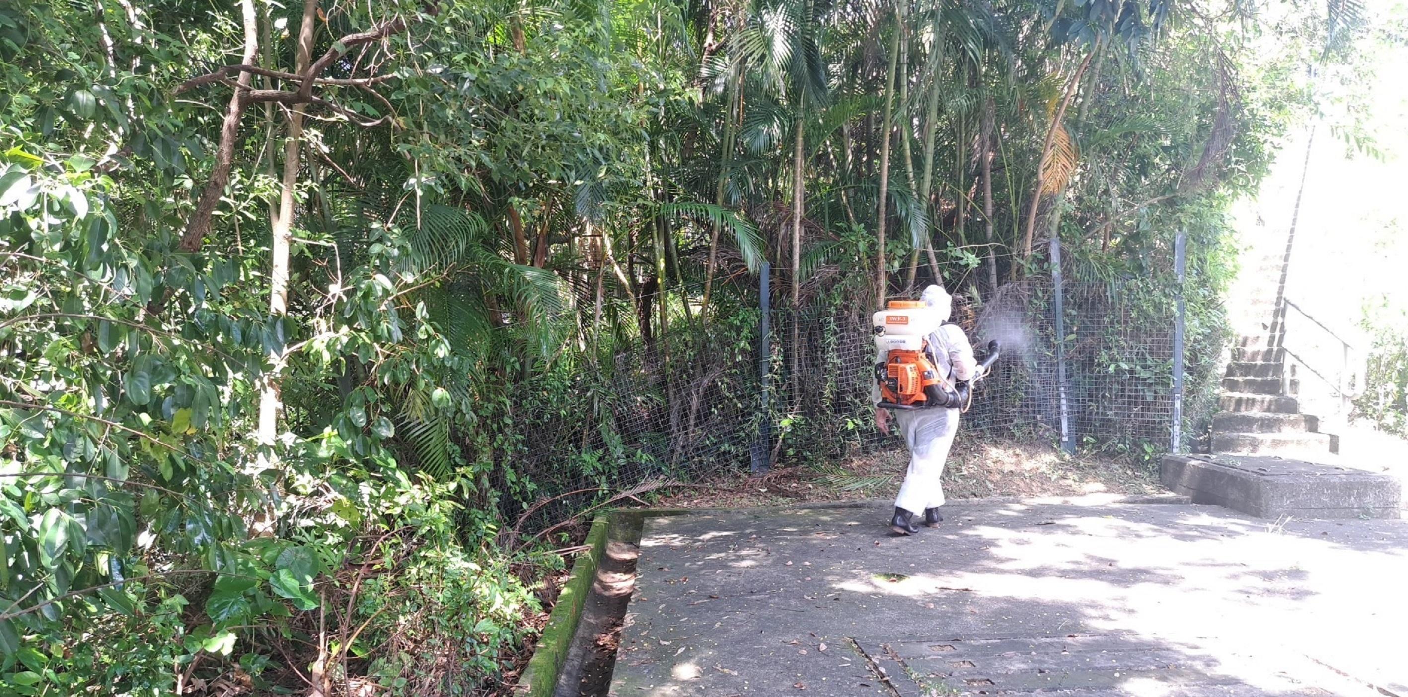 The Food and Environmental Hygiene Department (FEHD) today (August 28) released the ninth batch of gravidtrap indexes and density indexes for Aedes albopictus in August, covering 17 survey areas. Photo shows a staff member of the FEHD's contractor conducting fogging operations to eradicate adult mosquitoes in Ma Wan, Tsuen Wan District.
