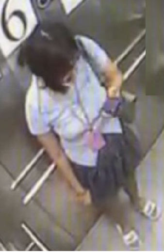 A Thai woman, Cheng Wai-ling, aged 22, is about 1.7 metres tall, 70 kilograms in weight and of fat build. She has a round face with yellow complexion and long black straight hair. She was last seen wearing a light blue short-sleeved shirt, dark-coloured shorts, white slippers, and carrying a green bag.