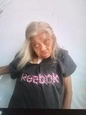 七十三歲女子林財妹身高約一點五五米，體重約六十公斤，瘦身材，尖面型，黃皮膚及蓄長白髮。她最後露面時身穿黑色短袖上衣、黑色長褲、黑色鞋、攜有一個紅色袋及一把雨傘。
