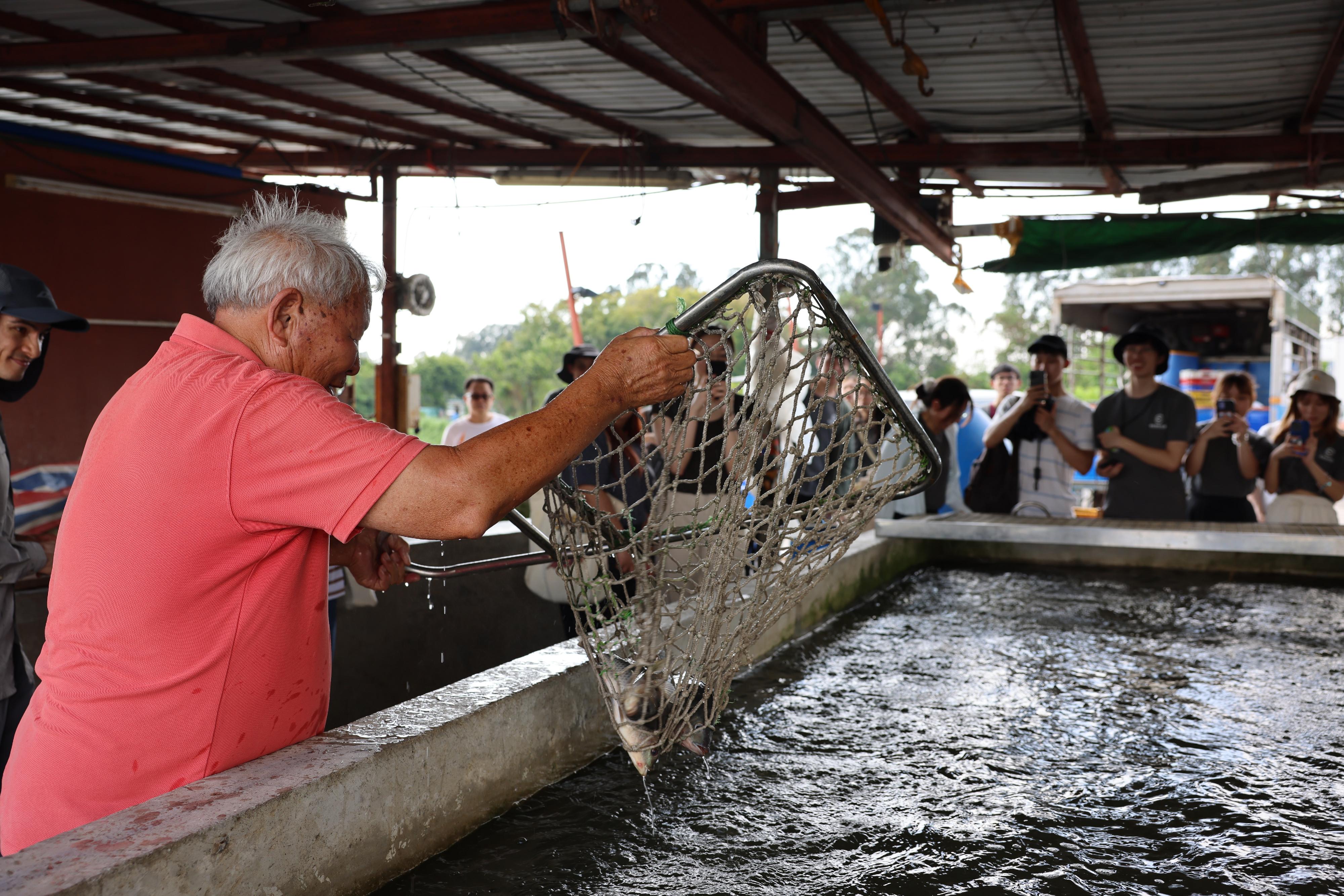The Government announced today (September 29) the launch of the "Fish enJoy" Scheme to facilitate mariculture rafts and inland fish farms engaged in aquaculture production, with a view to promoting the development of leisure fisheries in Hong Kong. Participating fish farms under the "Fish enJoy" Scheme can operate ancillary businesses, including the provision of fisheries education activities (such as guided tours, fish farming and harvesting experiences and workshops).
