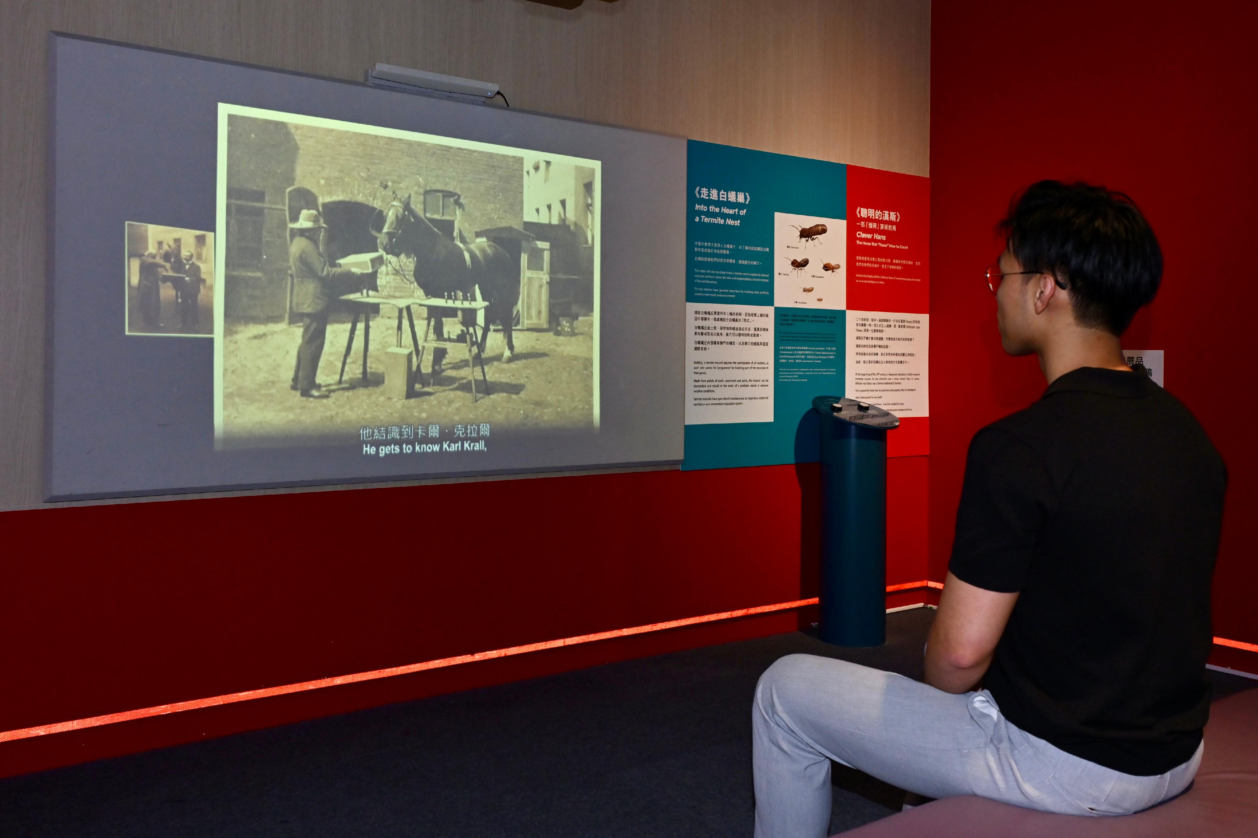香港科學館科學推廣組與法國駐港澳總領事館合作，於明日（十月三日）至十月二十九日推出「智能——萬物有靈」展覽，介紹智慧在物種間的多樣性，並探索人類的獨特性及人工智能的發展。參觀者可以透過觀看短片，了解動物的智慧。