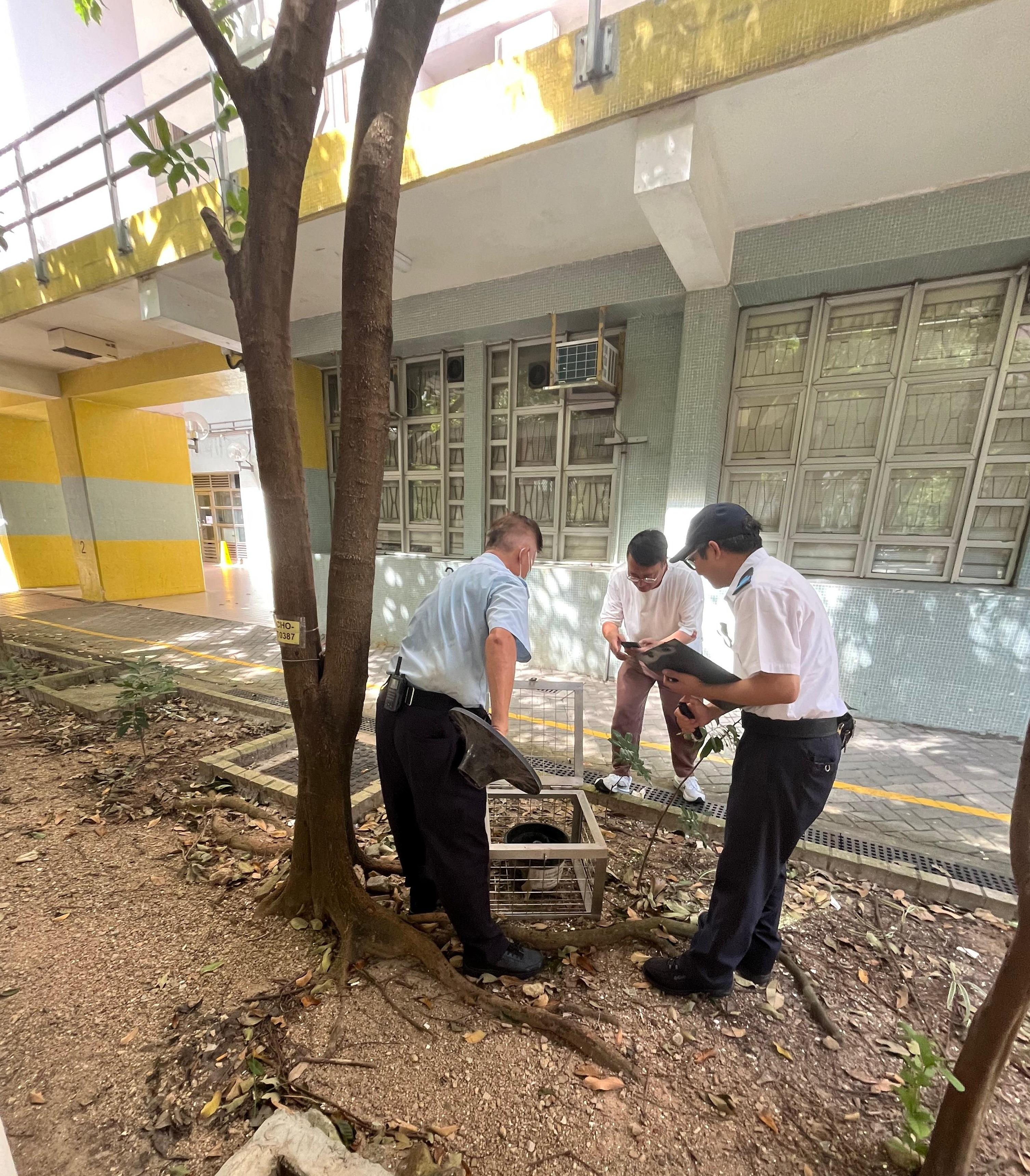 The Food and Environmental Hygiene Department (FEHD) conducted mosquito prevention and control work in Sha Tin. Photo shows an FEHD staff member today (October 3) inspecting the operation of a new kind of mosquito trapping device (also known as a mosquito trap) at a public housing estate in Ma On Shan, and reminding property management staff to intensify mosquito prevention and control work.