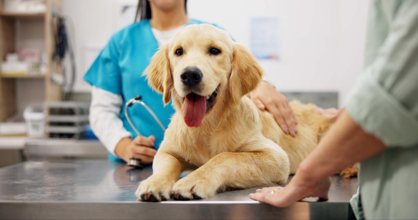 The Office of The Ombudsman today (October 17) announced the launch of a full investigation into the procedures and mechanisms currently employed by the Agriculture, Fisheries and Conservation Department in handling dog licence applications and renewals.