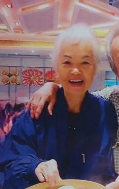 八十三歲女子馬麗霞身高約一點五米，體重約五十二公斤，瘦身材，尖面型，黃皮膚及蓄短白髮。她最後露面時身穿藍白色花紋短袖上衣、深藍色長褲、粉紅色拖鞋及攜有一個綠色背囊。