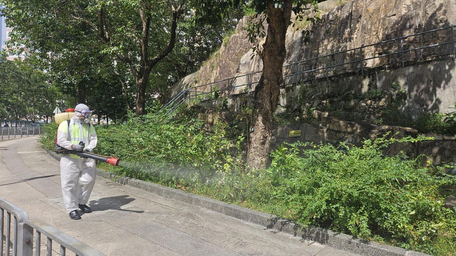 In light of the local case of chikungunya fever, the Food and Environmental Hygiene Department (FEHD) has immediately conducted follow-up actions, including strengthening the mosquito prevention and elimination work in the vicinity of Fung Tak Estate, where the patient resides. Photo shows a staff member of the FEHD's contractor using a large robotics ultra-low volume fogger to carry out fogging operations aimed at eradicating adult mosquitoes in the vicinity of Fung Tak Estate today (October 26).