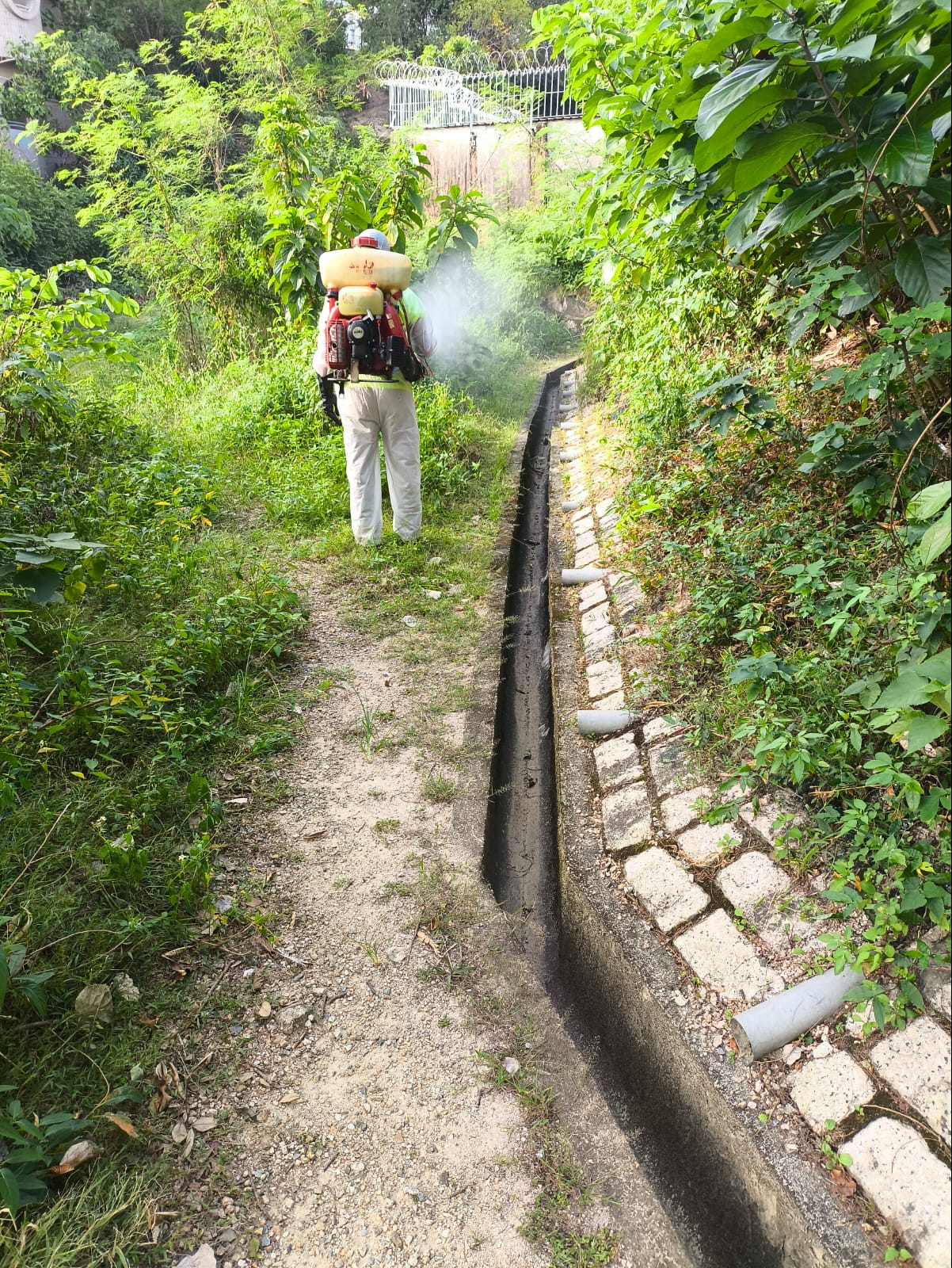 In light of the local case of chikungunya fever, the Food and Environmental Hygiene Department (FEHD) has immediately conducted follow-up actions, including strengthening the mosquito prevention and elimination work in the vicinity of Fung Tak Estate, where the patient resides. Photo shows a staff member of the FEHD's contractor using a large robotics ultra-low volume fogger to carry out fogging operations aimed at eradicating adult mosquitoes in the vicinity of Fung Tak Estate today (October 26).