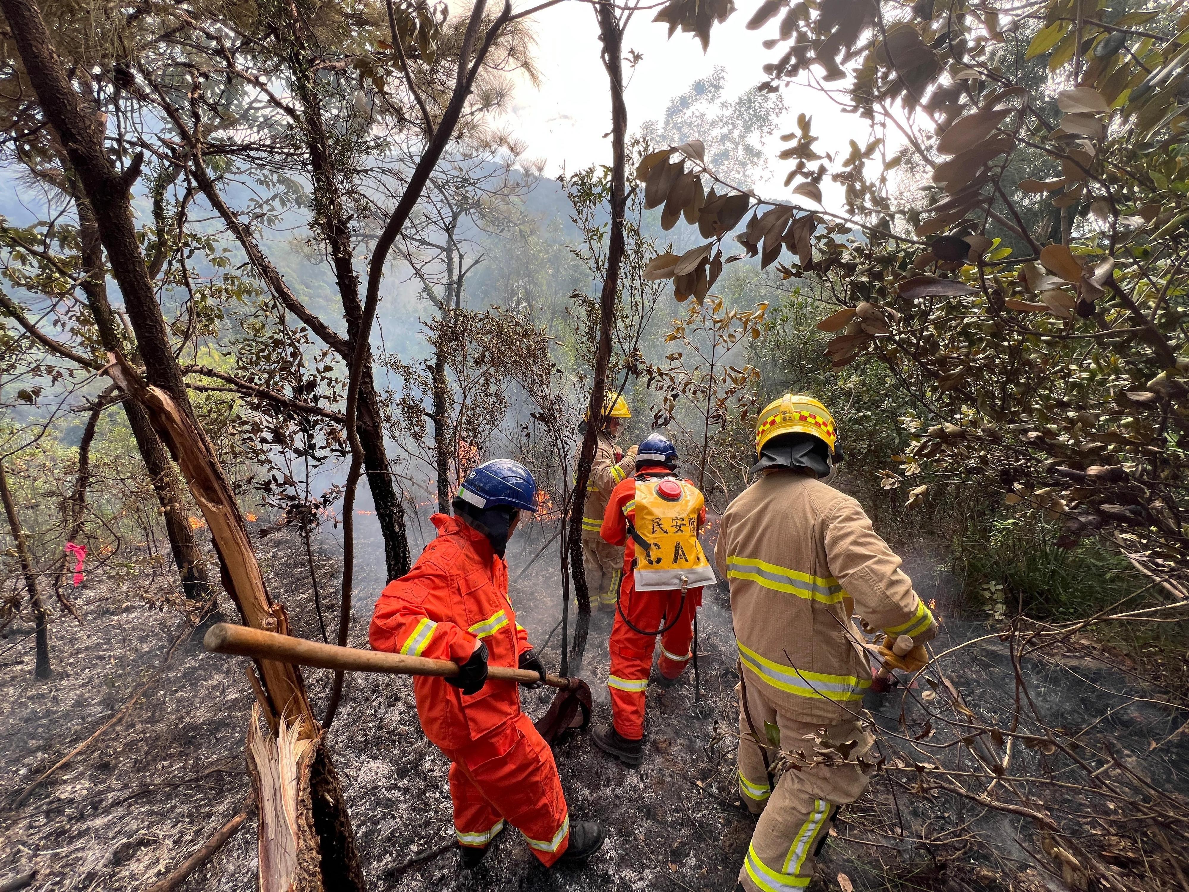 The Fire Services Department today (October 27) announced the special operations deployment for hill fires during the Chung Yeung Festival. Photo shows fire personnel and members of the Civil Aid Service forming patrol teams to quickly extinguish an initial fire at a hill fire hotspot to prevent the spread of a hill fire.