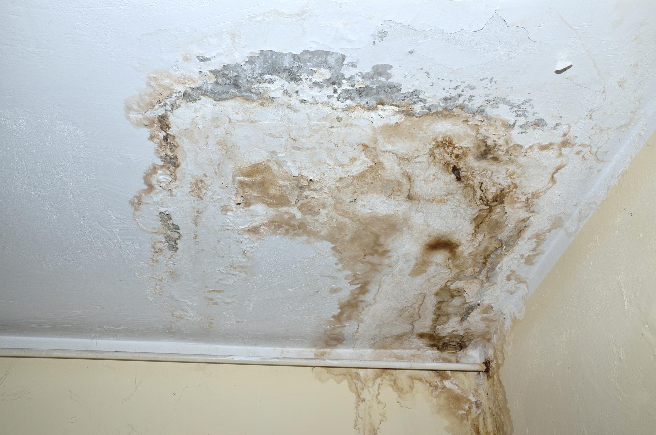 The Office of The Ombudsman today (October 27) announced the launch of a full investigation into the Joint Office for Investigation of Water Seepage Complaints' handling of water seepage cases.