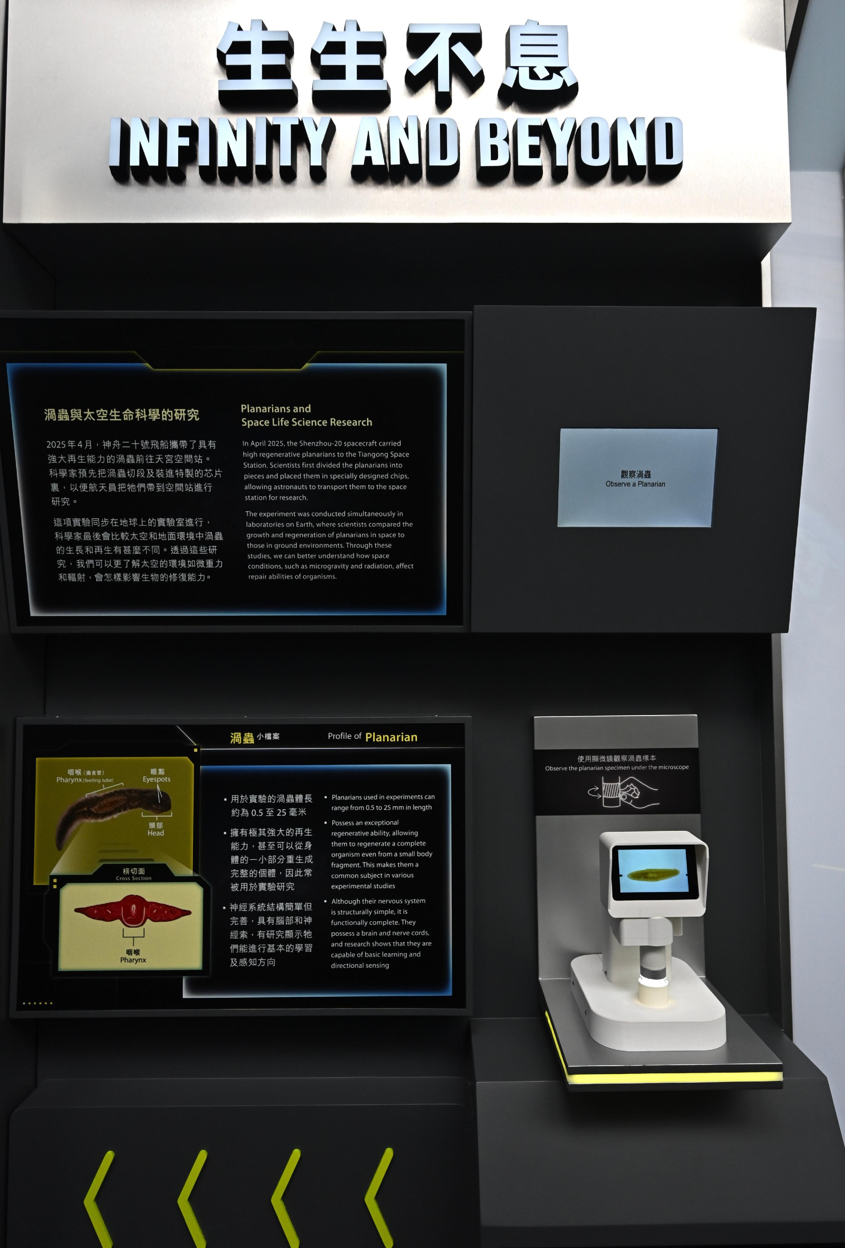 The Hong Kong Space Museum will launch the "A Voyage to Space: China's Manned Space Expedition" exhibition from tomorrow (November 19) to April 27 next year, introducing the scientific experiments conducted on the Tiangong Space Station, including the experiments on the planarian regenerative ability.