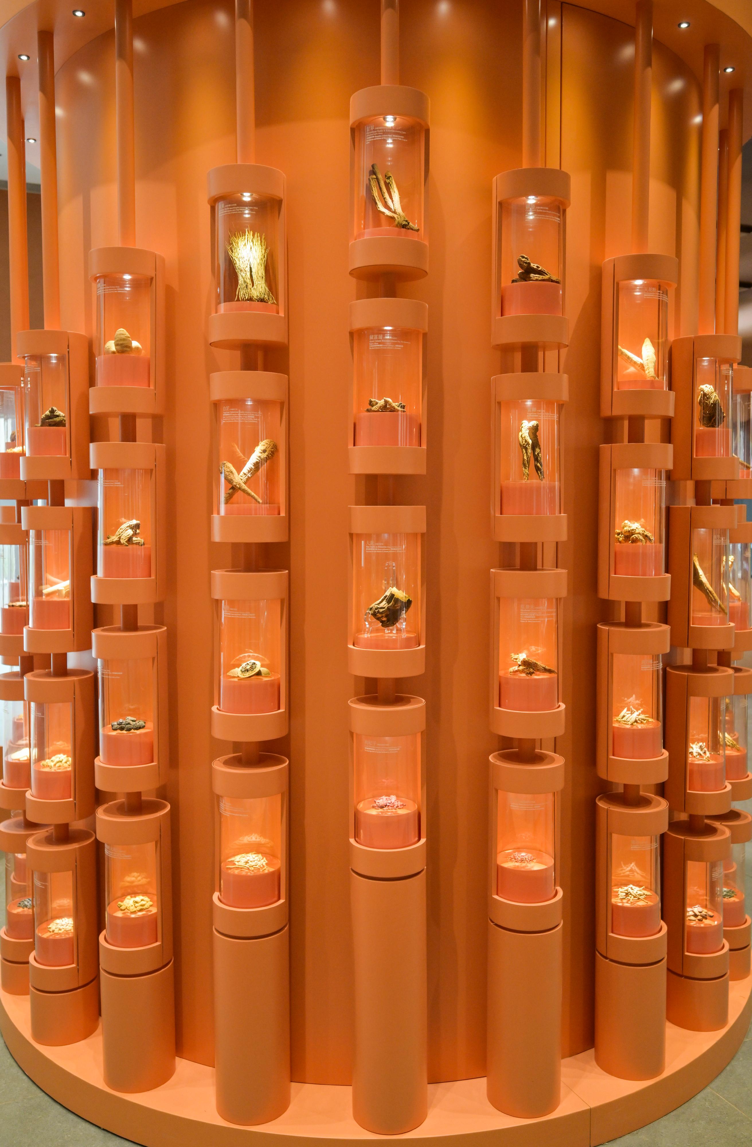 卫生署辖下政府中药检测中心永久大楼明日（十二月十一日）起分阶段投入服务。图示由国家药品监督管理局赠送，来自全国不同产区的常用及珍稀贵细中药标本。