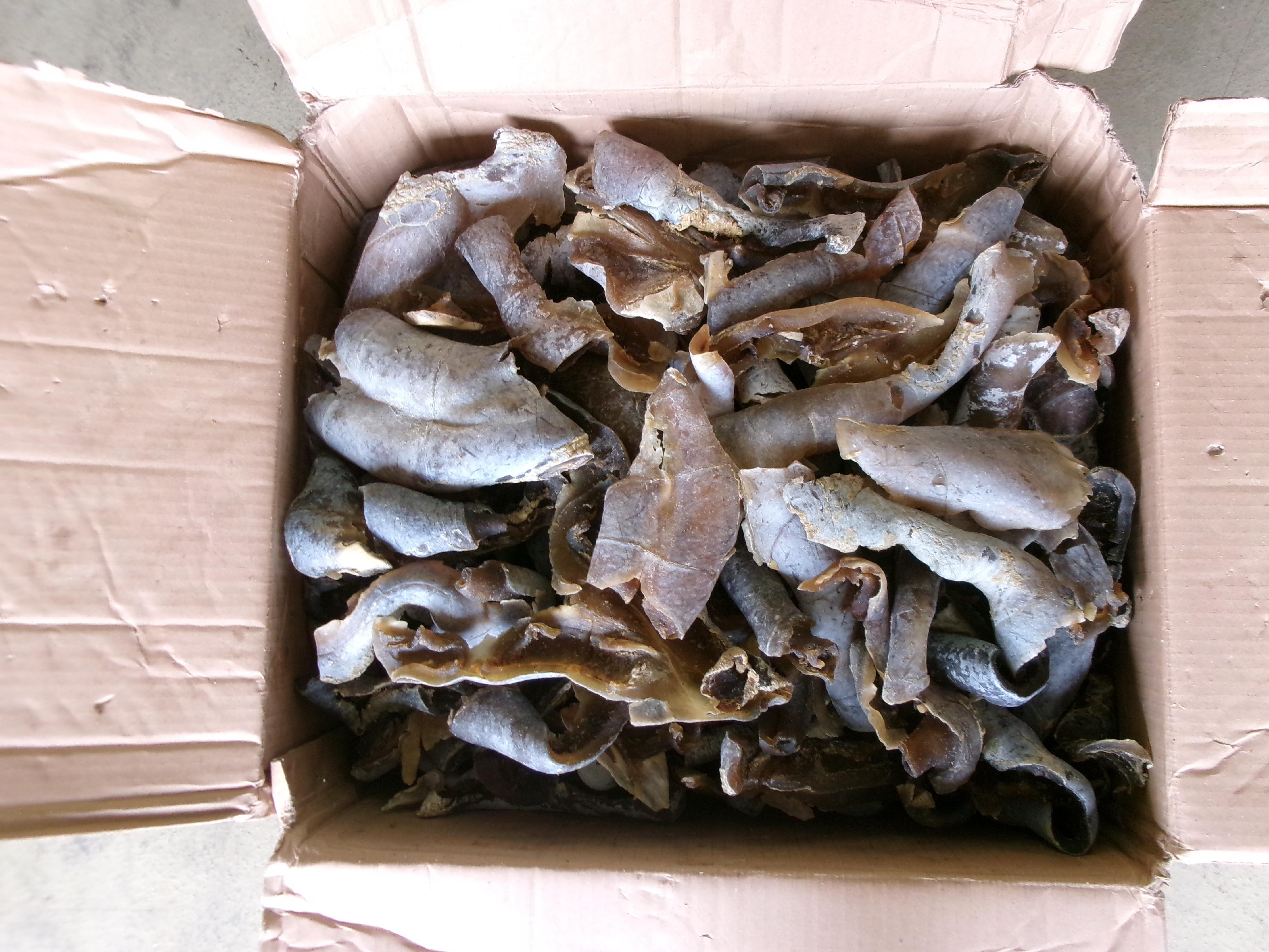 香港海关于十一月十九日和二十日分别侦破两宗涉嫌利用内河船走私的案件，并检获大批怀疑走私货物，估计市值共约七千五百万元。图示检获的怀疑走私货物。
