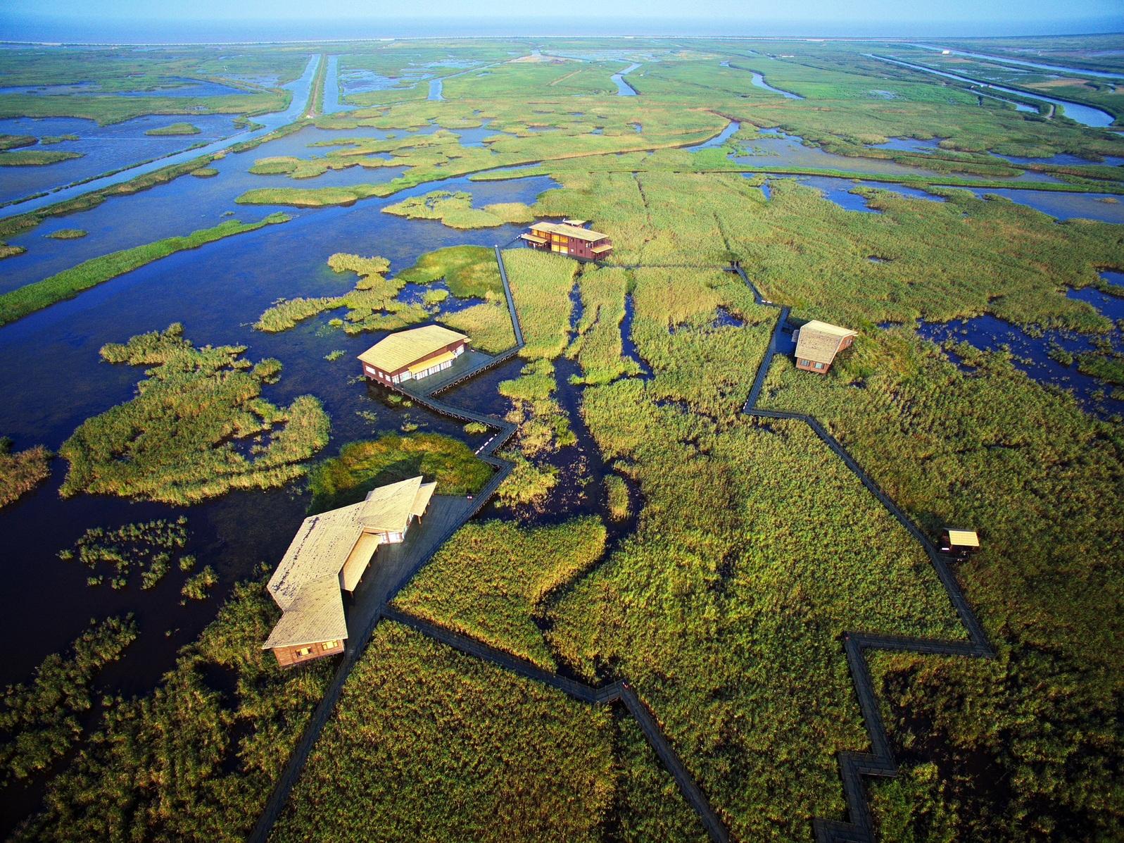 The Memorandum of Understanding (MOU) on the conservation of migratory waterbirds signed between the Agriculture, Fisheries and Conservation Department and the Shanghai Municipal Forestry Bureau came into effect on December 9. The MOU marks the official establishment of the Mai Po Inner Deep Bay Ramsar Site in Hong Kong and the Chongming Dongtan National Nature Reserve in Shanghai as sister wetlands under the East Asian-Australasian Flyway Partnership Flyway Site Network. Photo shows the Chongming Dongtan National Nature Reserve in Shanghai.