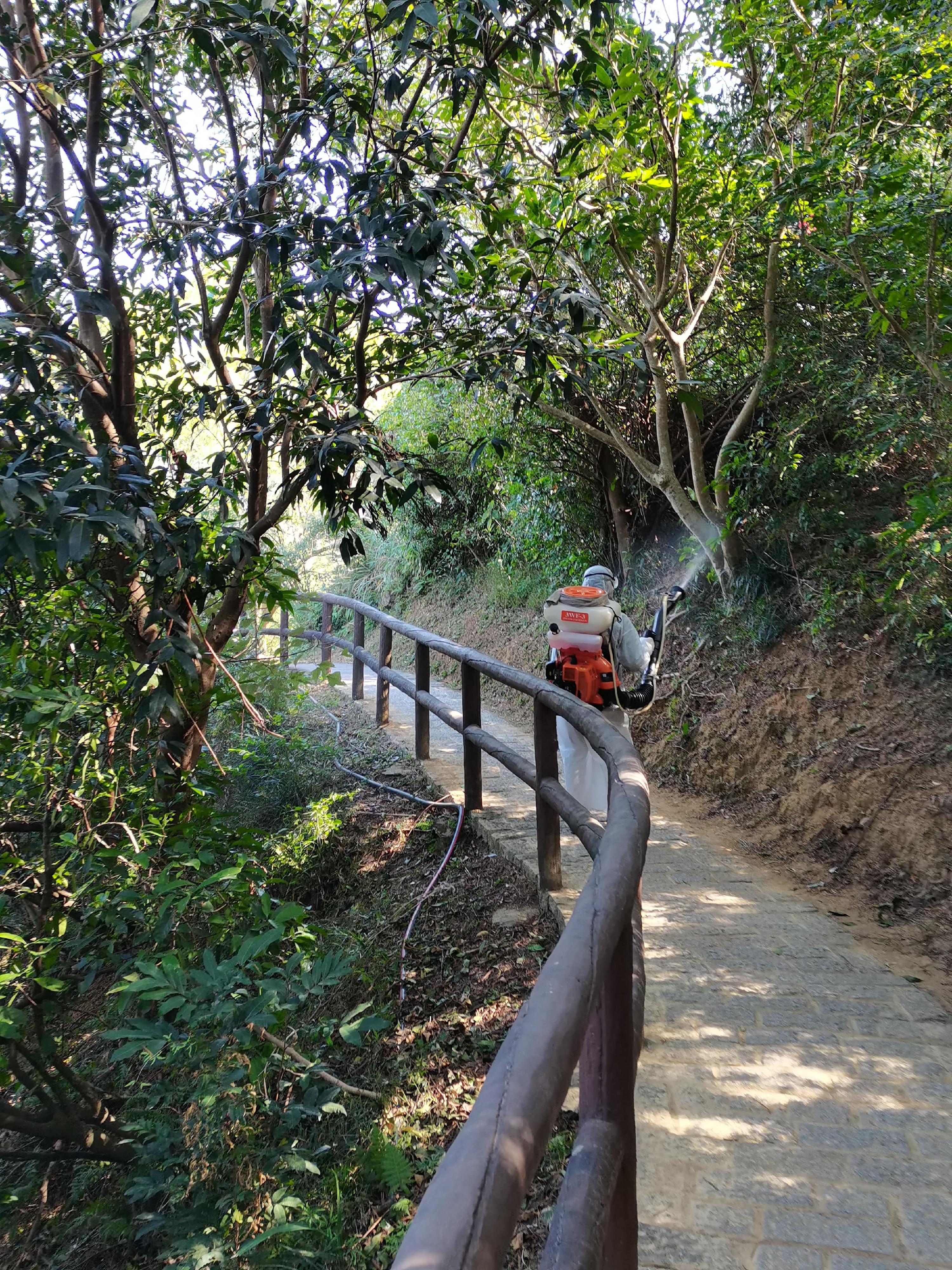 防治蟲鼠督導委員會今日(十二月十二日)針對基孔肯雅熱交代在青衣自然徑的跨部門滅蚊防蚊的工作進度。圖示食物環境衞生署人員在青衣自然徑進行霧化處理殺滅成蚊。