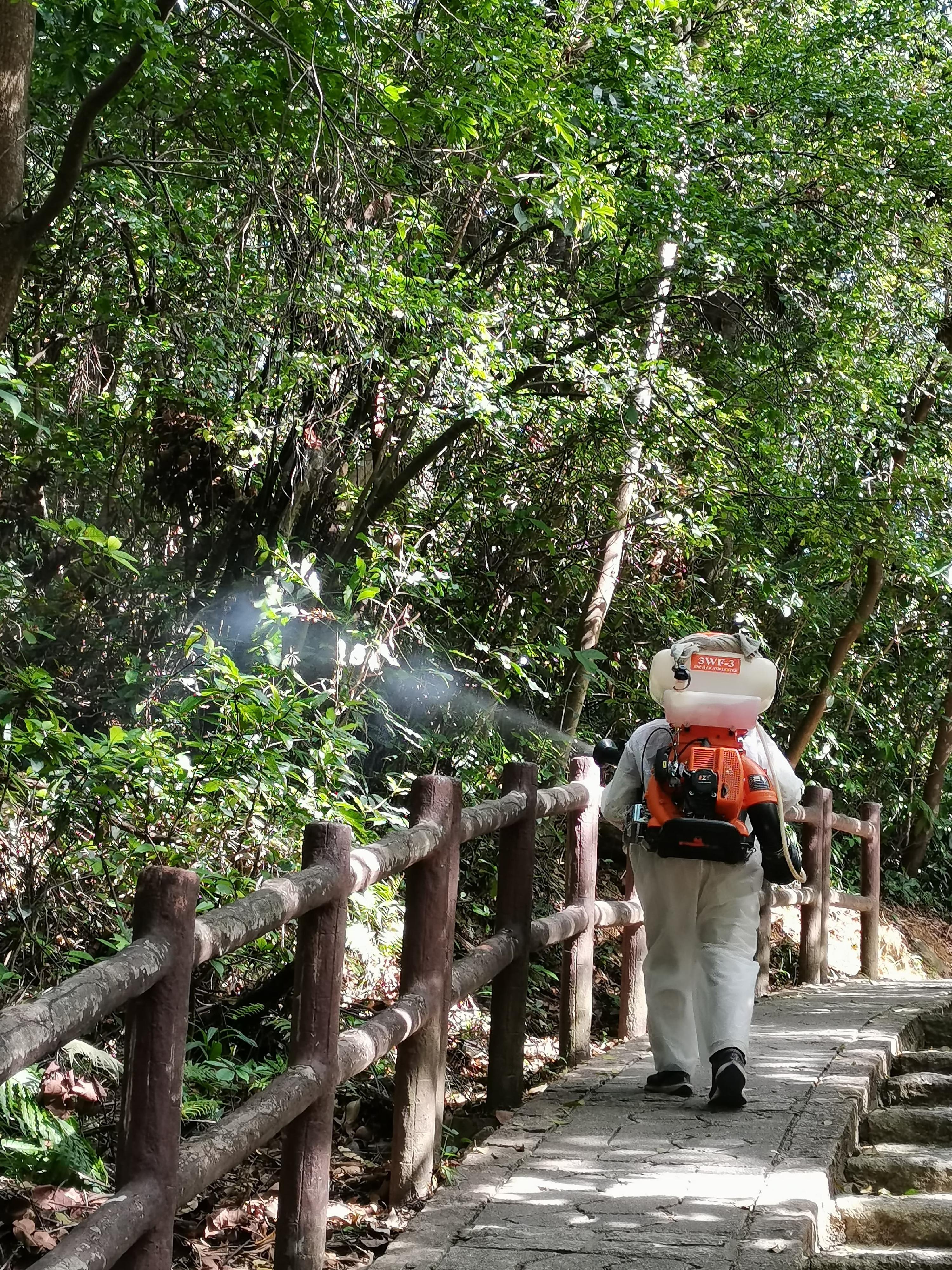 防治蟲鼠督導委員會今日(十二月十二日)針對基孔肯雅熱交代在青衣自然徑的跨部門滅蚊防蚊的工作進度。圖示食物環境衞生署人員在青衣自然徑進行霧化處理殺滅成蚊。