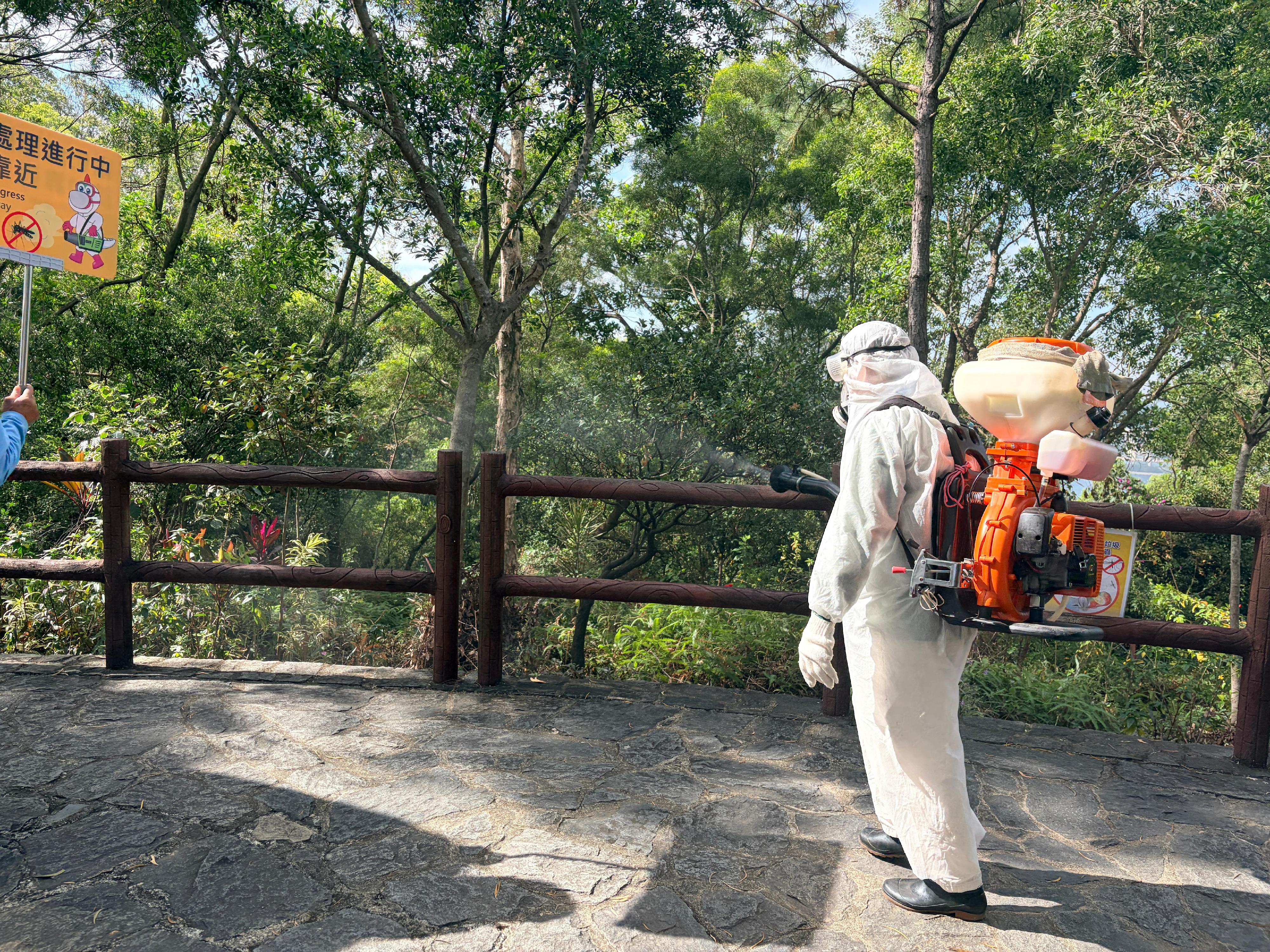 The interdepartmental Pest Control Steering Committee provided updates today (December 12) on interdepartmental mosquito control and prevention work progress against chikungunya fever at Tsing Yi Nature Trails. Photo shows staff from the Food and Environmental Hygiene Department conducting fogging operations to eliminate adult mosquitoes along the trails.