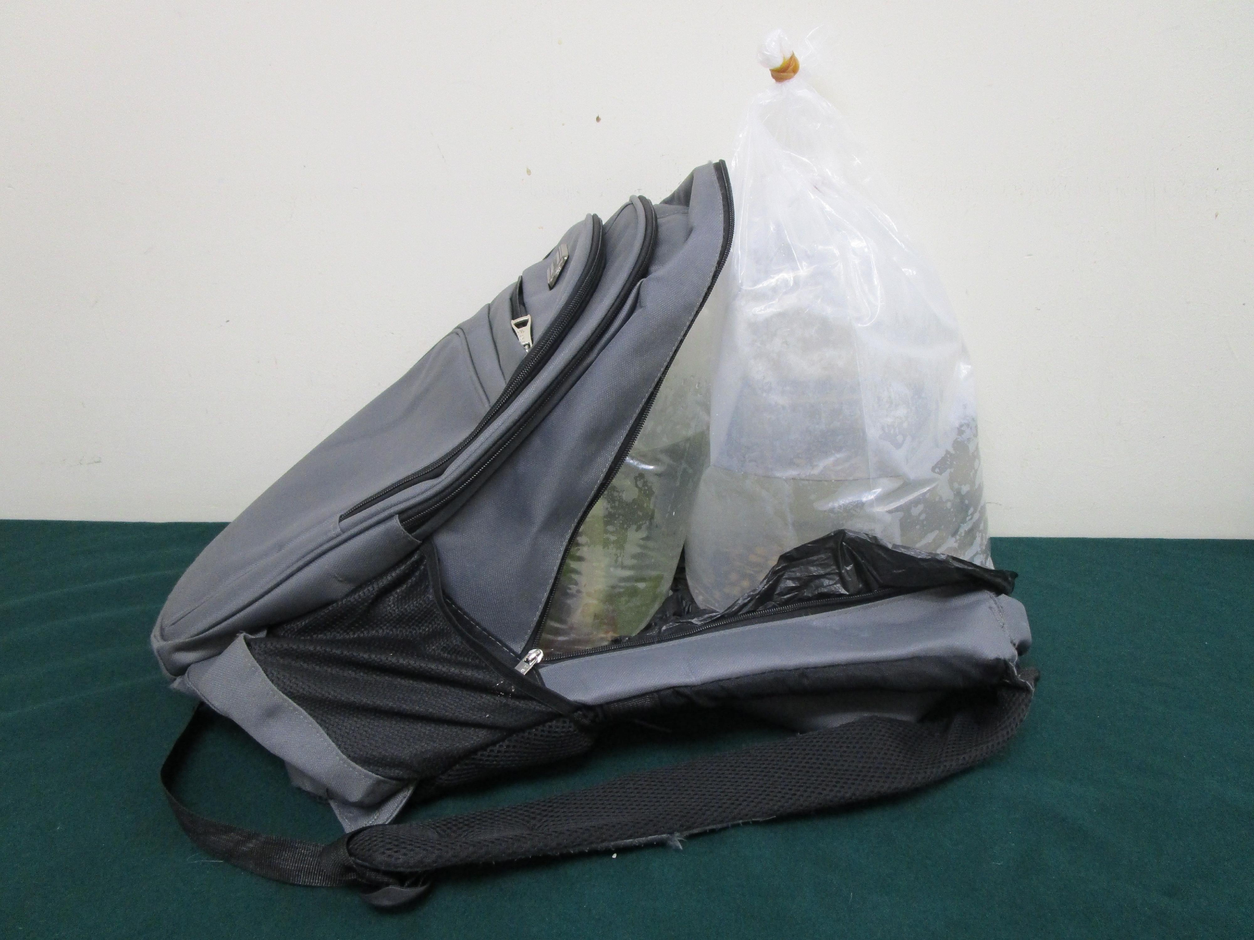 Hong Kong Customs today (December 26) seized a total of four suspected scheduled endangered live arowanas and river stingrays at Lok Ma Chau Spur Line Control Point. Photo shows the suspected live arowanas and suspected live river stingrays contained in a rucksack.