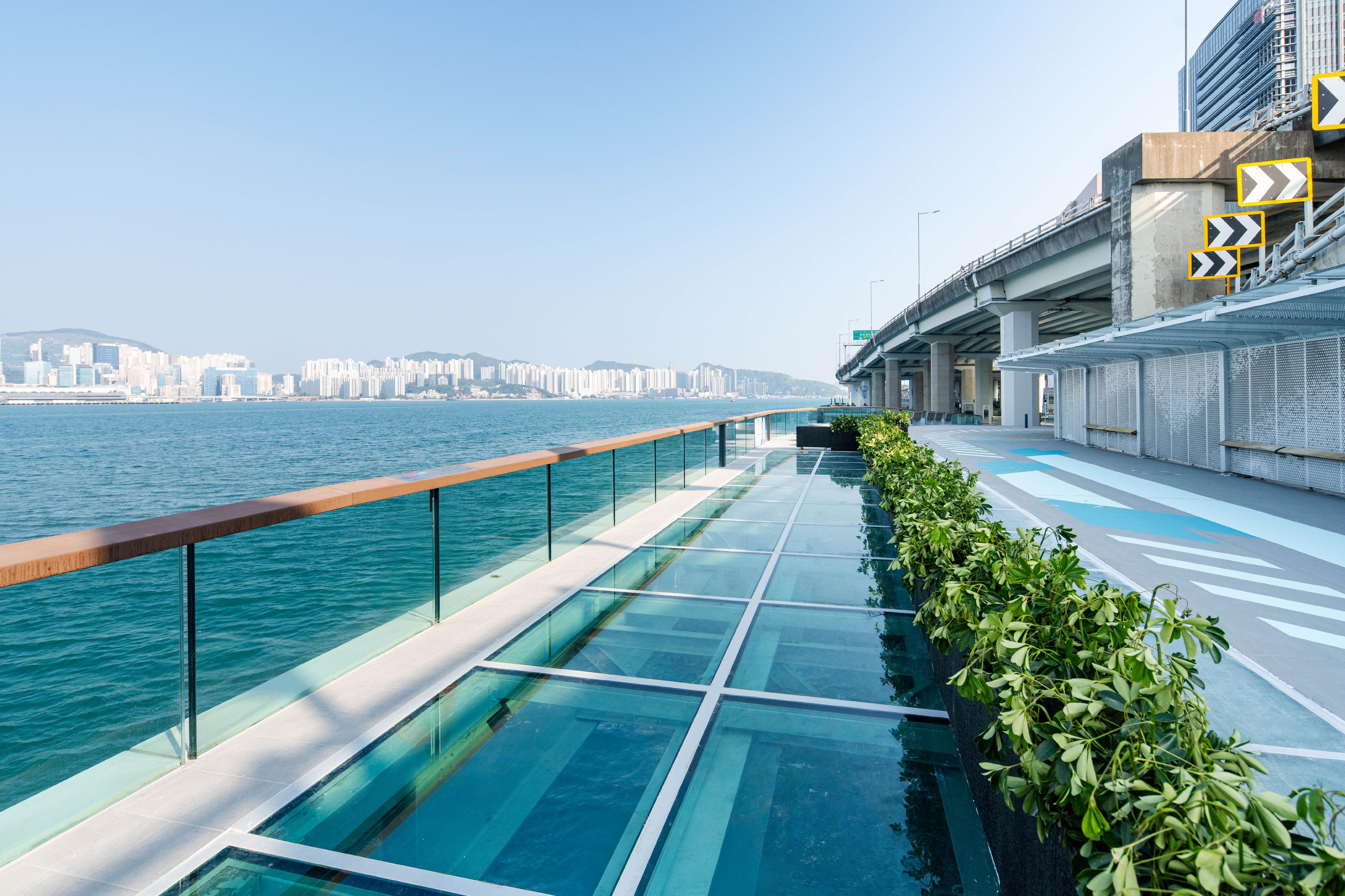 _�ĳɶ�����ǻ�ھ��L��޲һ���������ž���ƨ���׾��ᶦ�ھ��������ϣ�ն���էؾ���쳥ΰ��ļ������ͭ��á 