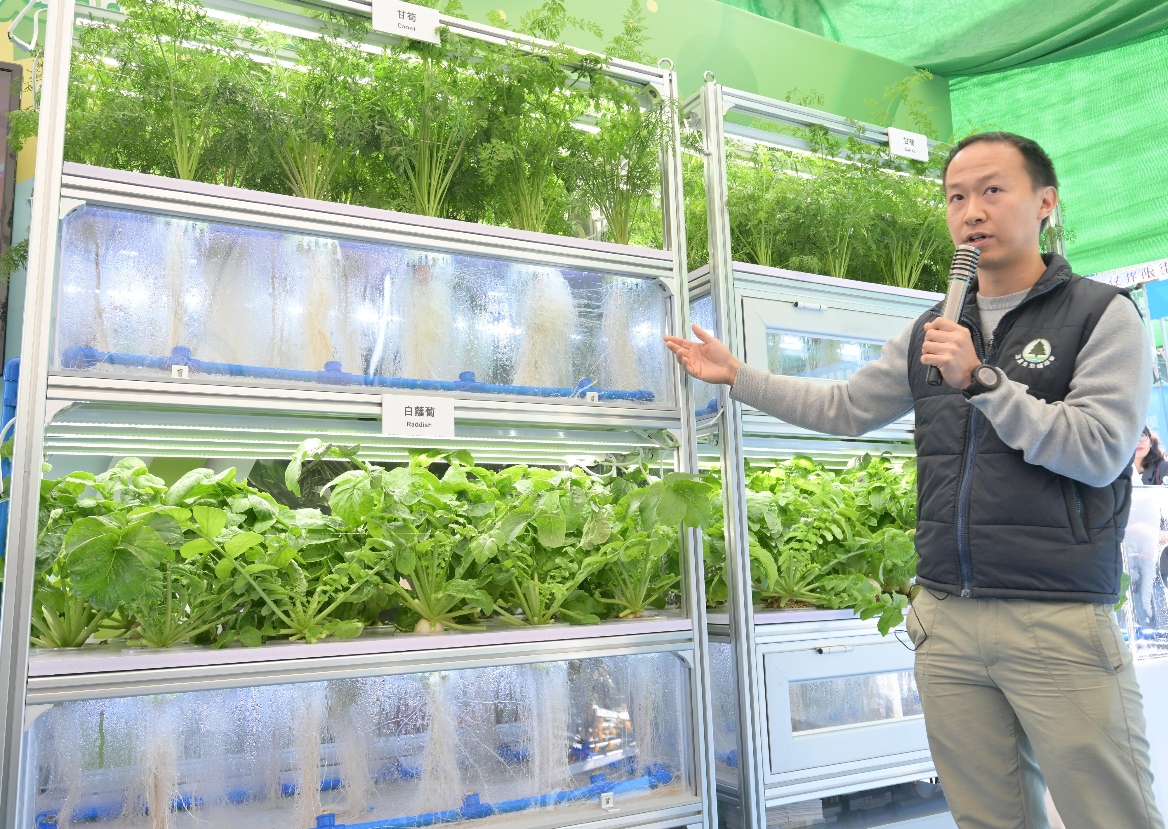 FarmFest 2026 runs for three consecutive days from today (January 9) to January 11 at Fa Hui Park in Mong Kok to showcase a variety of local agricultural and fisheries products and other goods. Photo shows the Agricultural Officer (Horticulture) of the Agriculture, Fisheries and Conservation Department, Mr Calvin Cheung, introducing the Vertical Aeroponic Cultivation System in the agricultural zone. This soilless cultivation system integrates smart monitoring technology and multilayer planting design, directly spraying misted nutrient solutions onto the roots of the crops to supply the necessary nutrients, making it particularly suitable for the commercial cultivation of rhizome crops.
