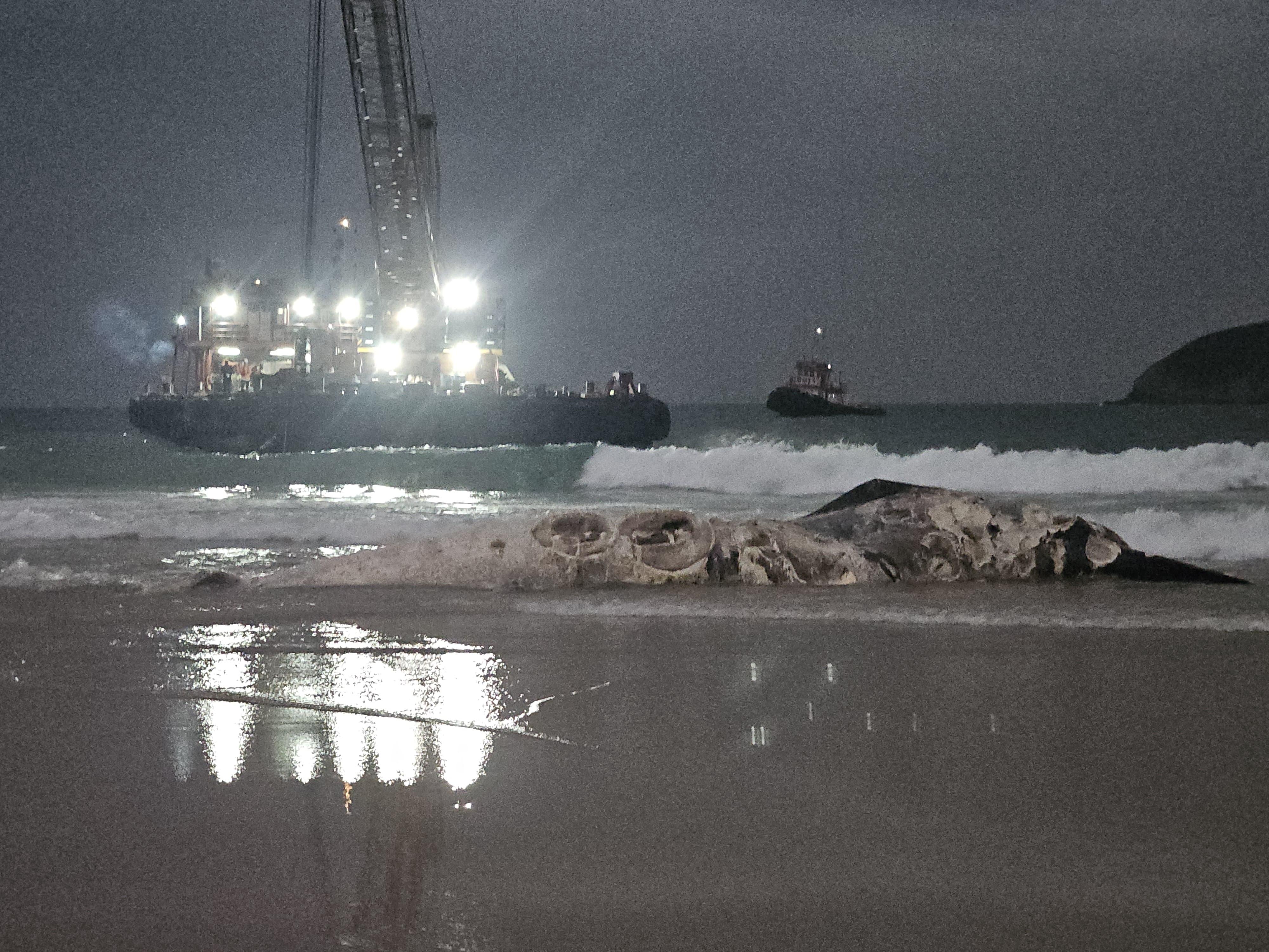 The Agriculture, Fisheries and Conservation Department (AFCD) received a referral from 1823 this morning (January 29) regarding the discovery of a suspected whale carcass in Ham Tin Wan, Sai Kung. Photo shows a barge preparing to transport the whale carcass.
