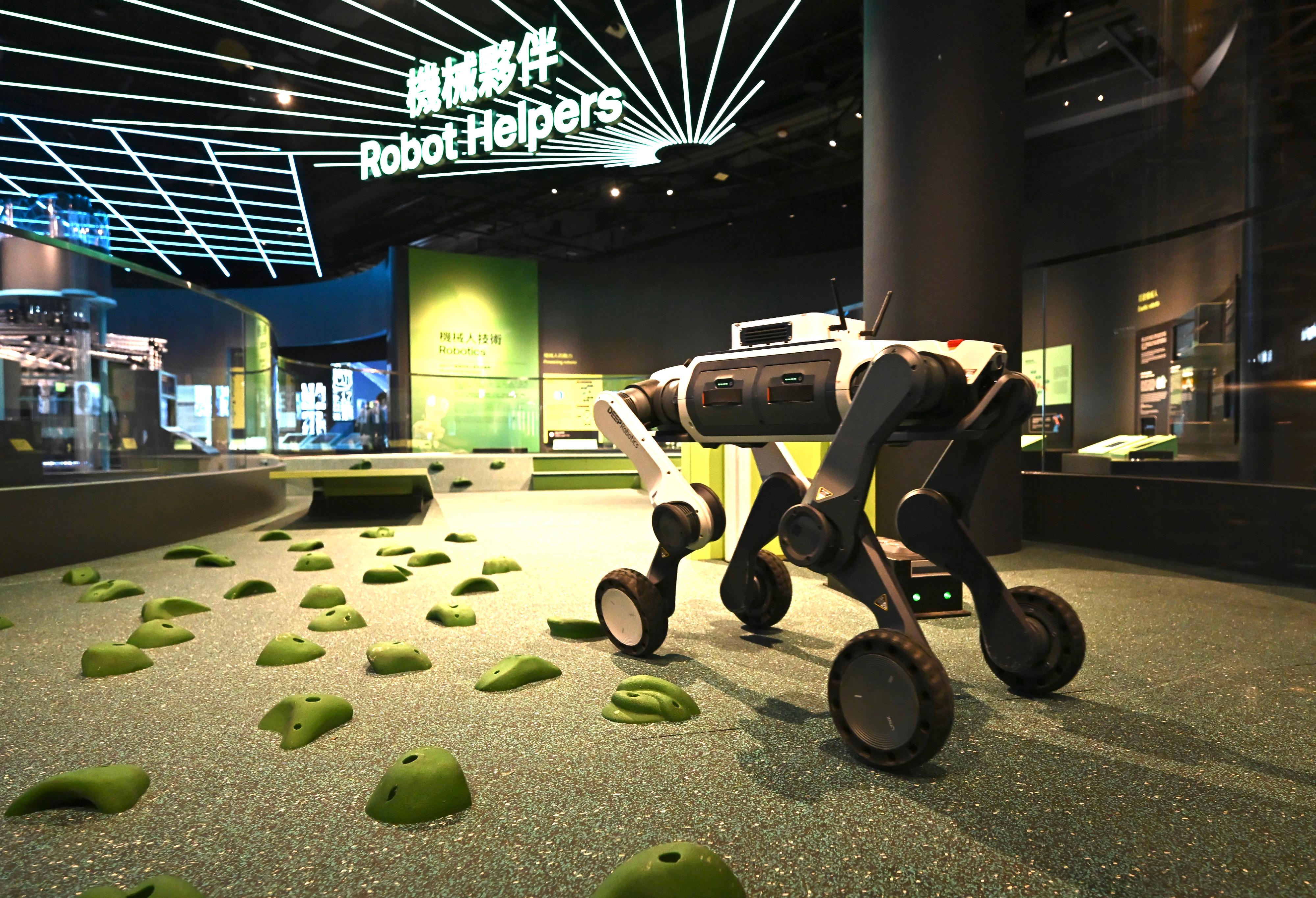 The Hong Kong Science Museum will launch three new permanent exhibition galleries from tomorrow (February 6). Photo shows a robot dog that could be deployed for patrolling, terrain surveying, and detecting hazardous substances in risky environments.
