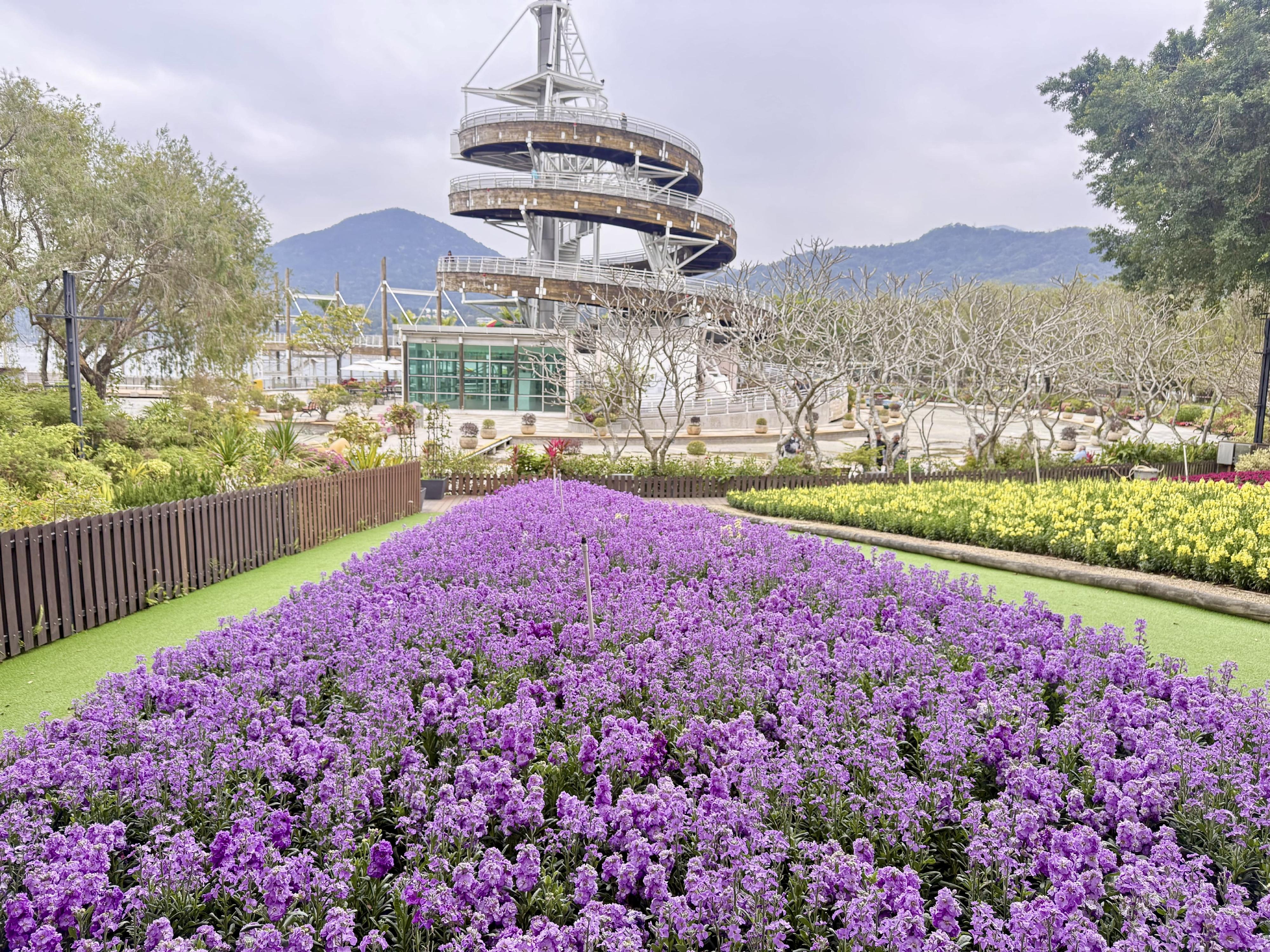 今年的香港花卉展覽將於三月二十日至二十九日在維多利亞公園舉行，大會以花姿優雅的紫羅蘭為主題花，並以「花語尋『香』&mdash;&mdash;細味城市特色」為主題。紫羅蘭原產於南歐與地中海一帶，花期自早春綿延至初夏。





