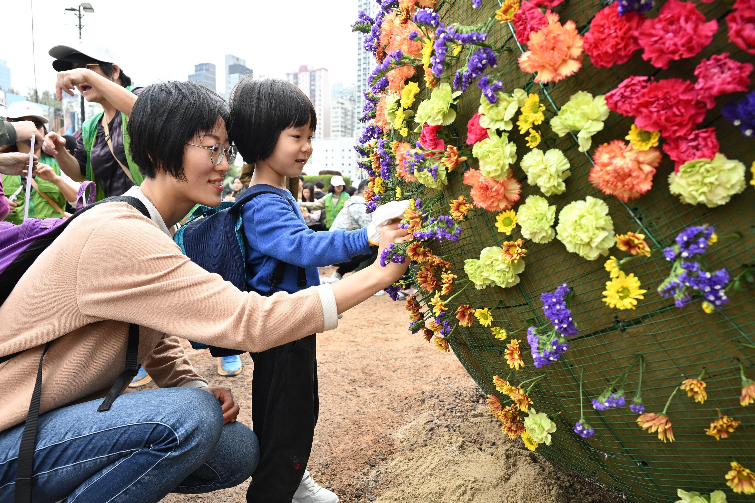 超過一千一百名來自三十八間學校的學生,今日(三月七日)於維多利亞公園參與鑲嵌花壇活動。圖示學生以切花嵌砌花壇。