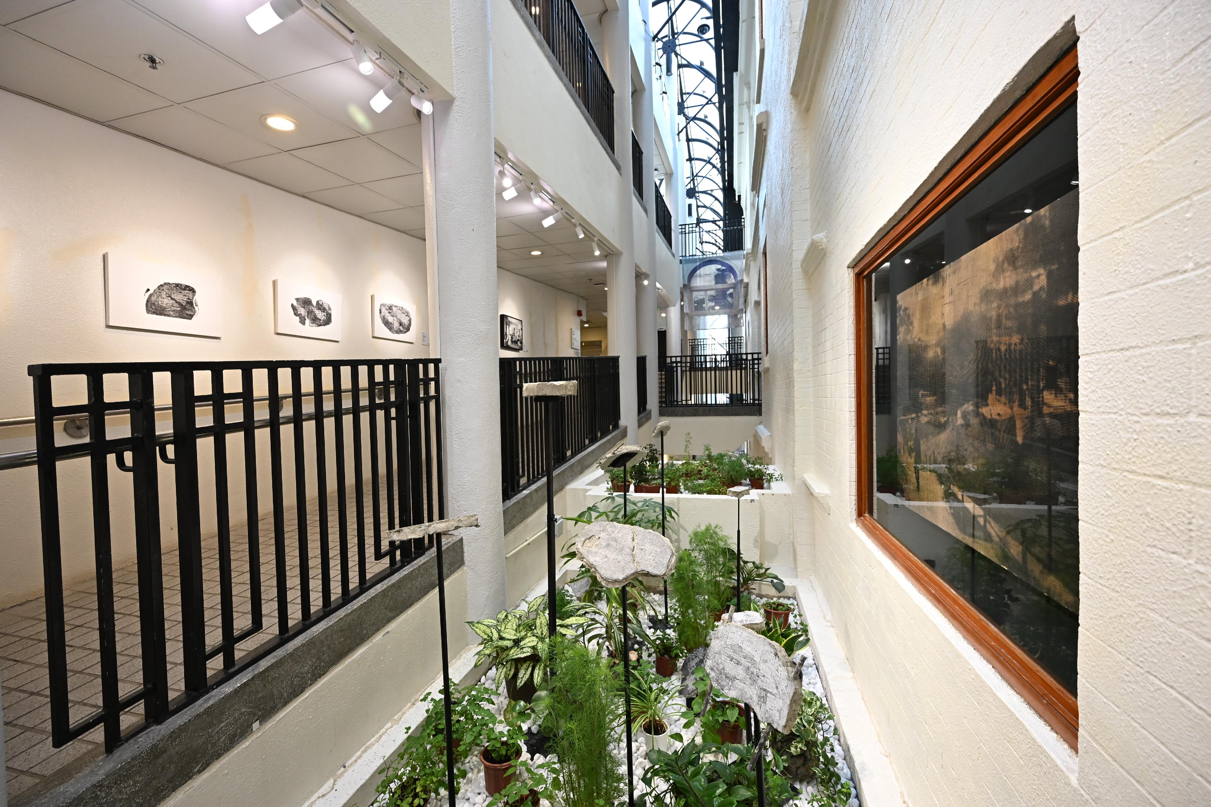 The Hong Kong Visual Arts Centre (vA!) is staging the "vA! Residency - Incising the Matrix: If Birdwood Block..." exhibition from today (March 12), featuring prints and installations by Hong Kong artist Jay Lau. Photo shows the prints and installations displayed in vA!'s public spaces.